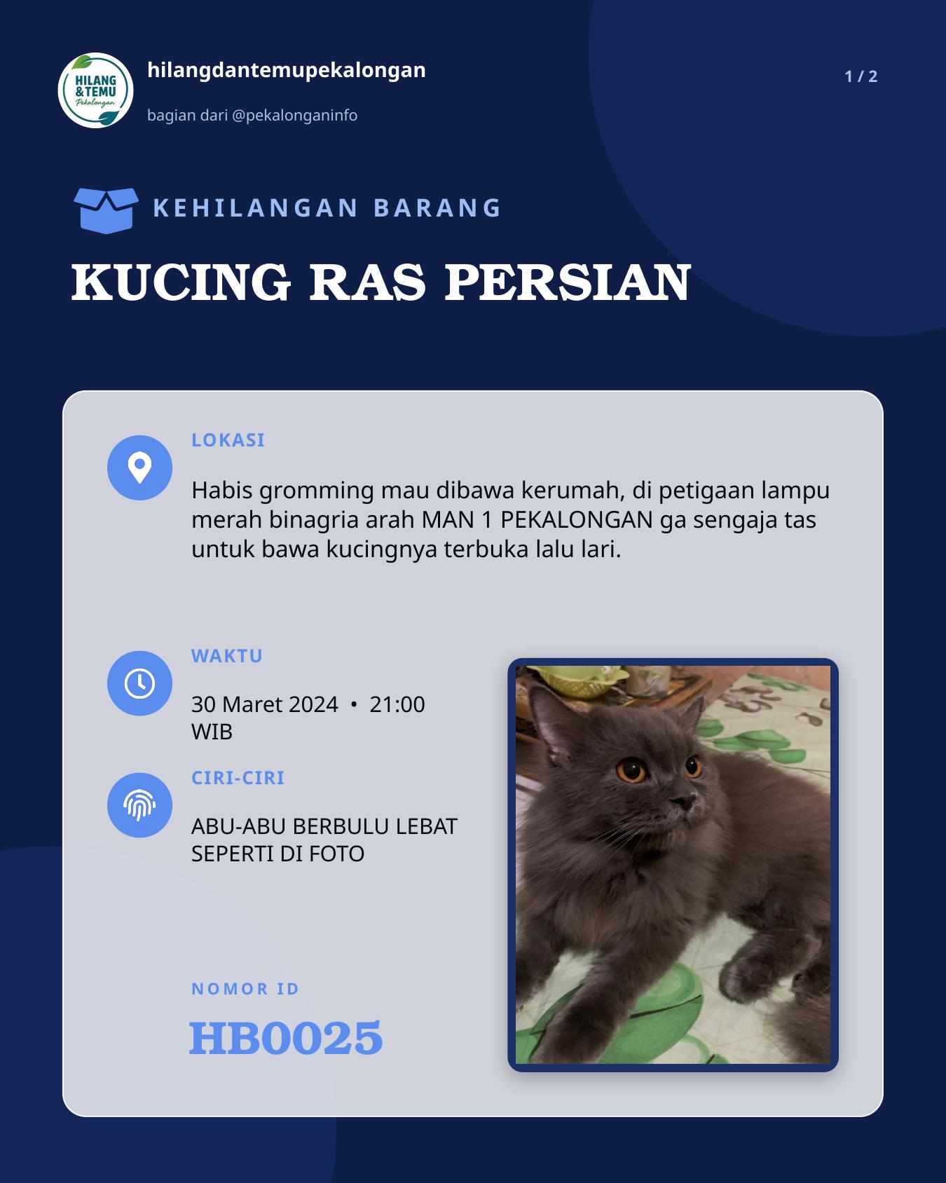 Slide 1 laporan KUCING RAS PERSIAN
