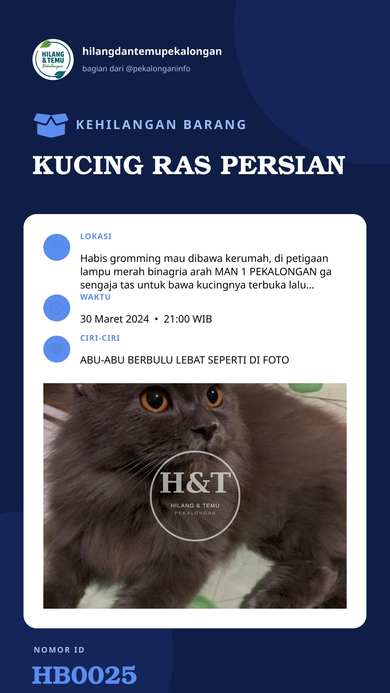 Story 9:16 laporan KUCING RAS PERSIAN