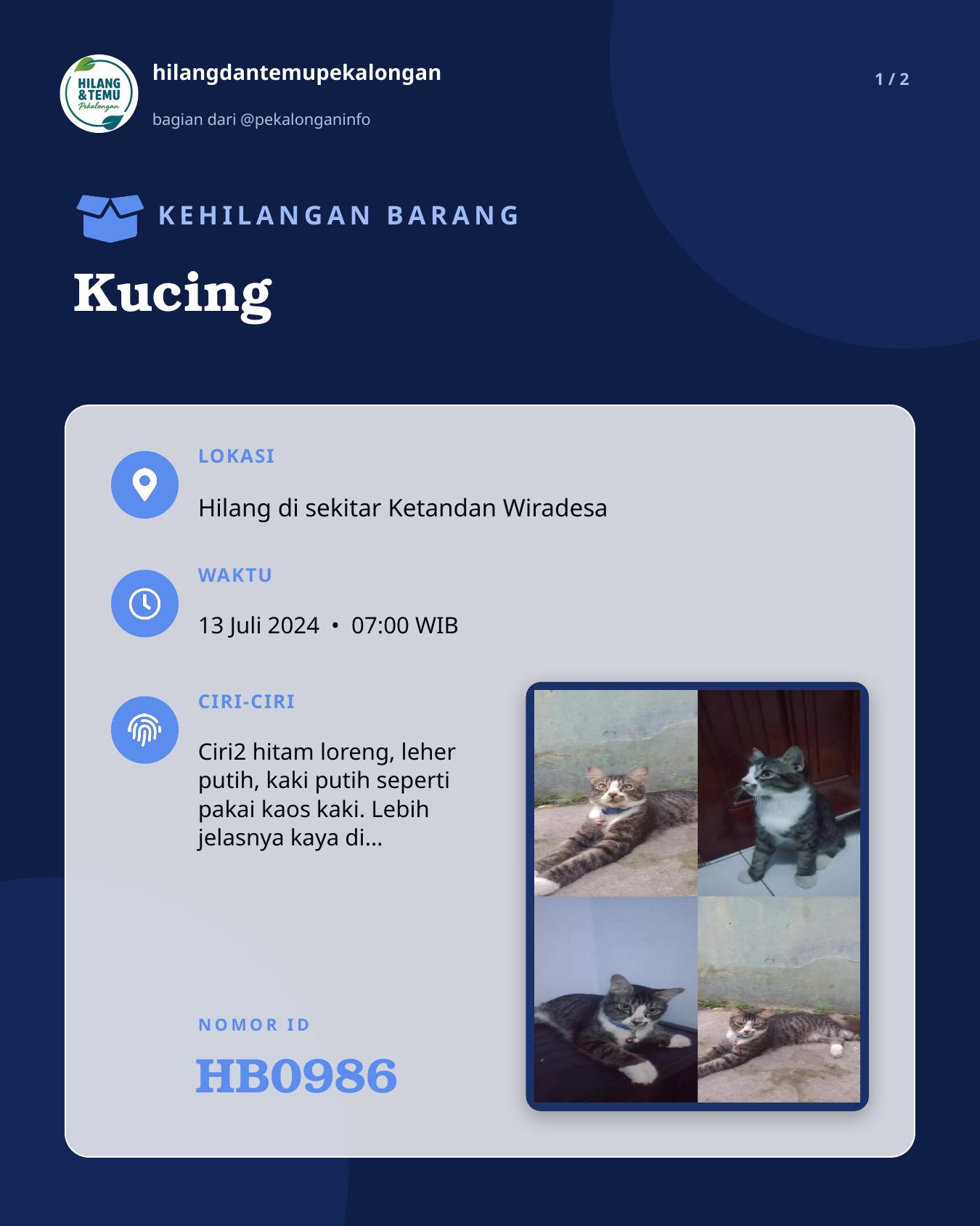 Slide 1 laporan Kucing