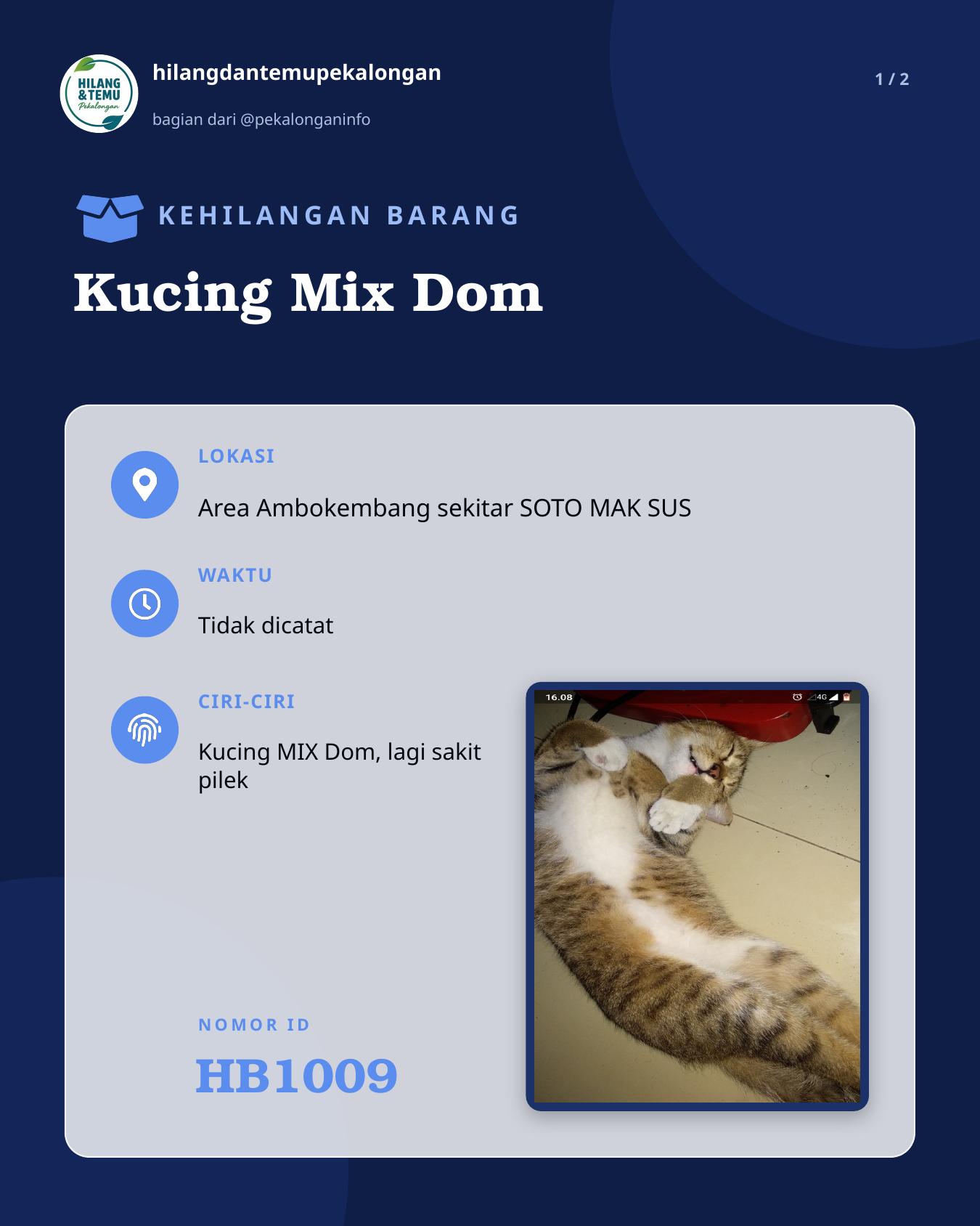 Slide 1 laporan Kucing Mix Dom