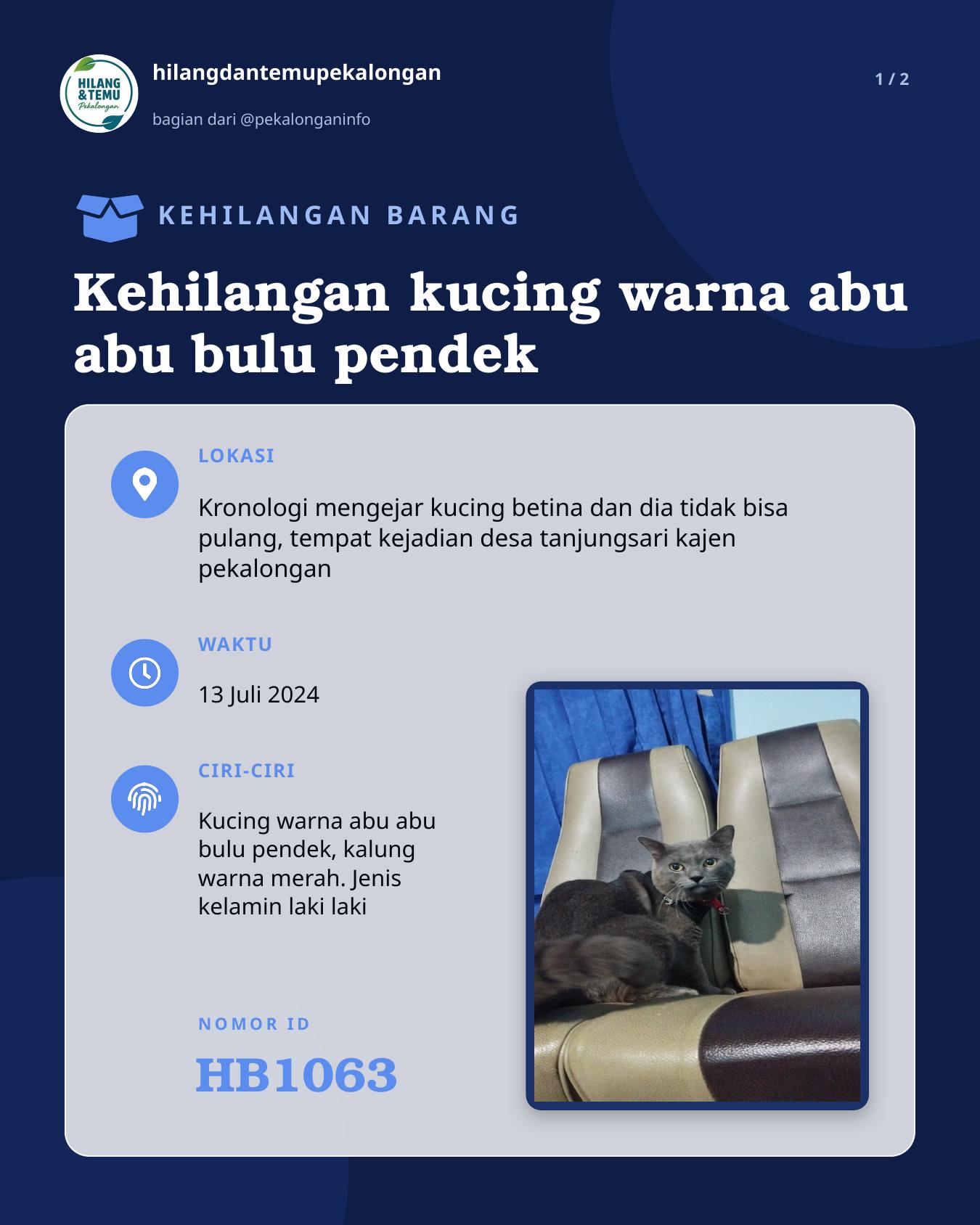 Slide 1 laporan Kehilangan kucing warna abu abu bulu pendek