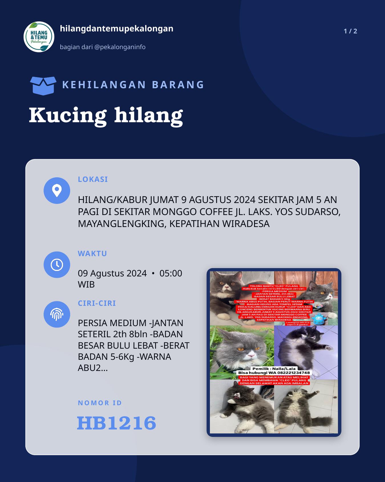 Slide 1 laporan Kucing hilang