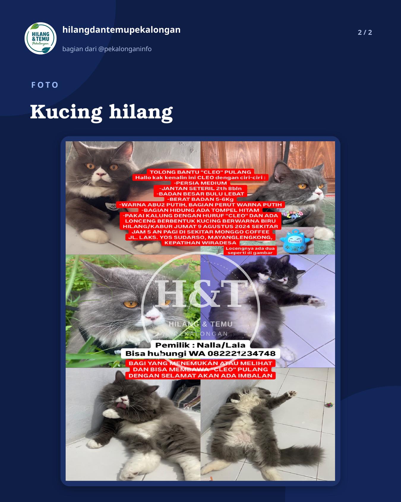 Slide 2 laporan Kucing hilang