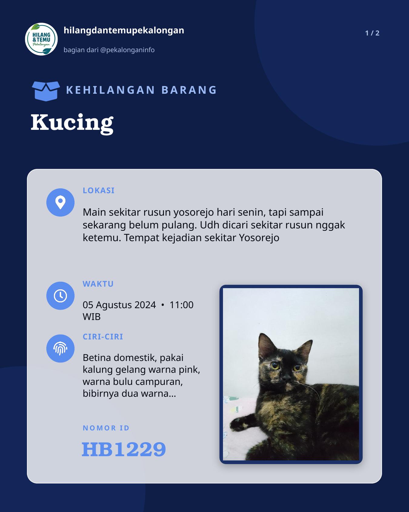 Slide 1 laporan Kucing