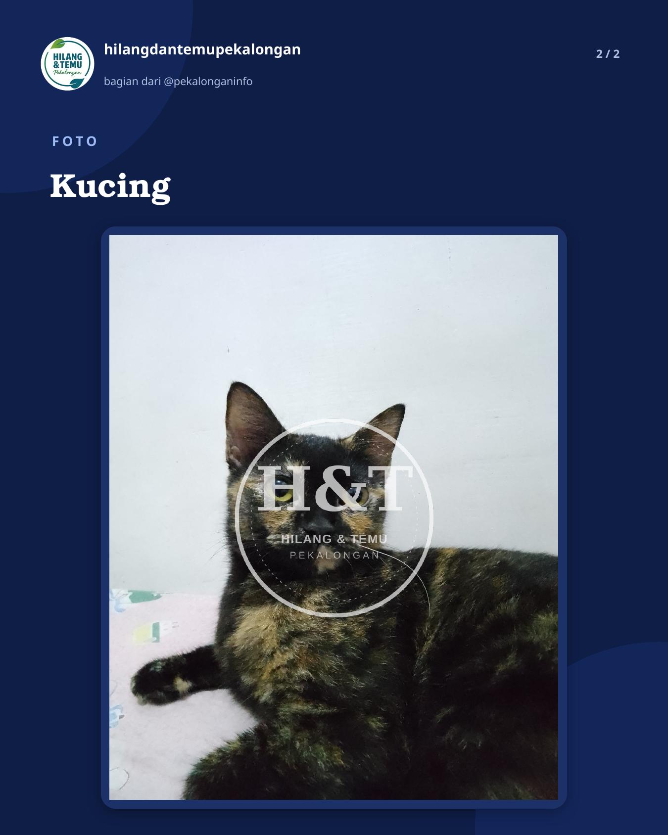 Slide 2 laporan Kucing