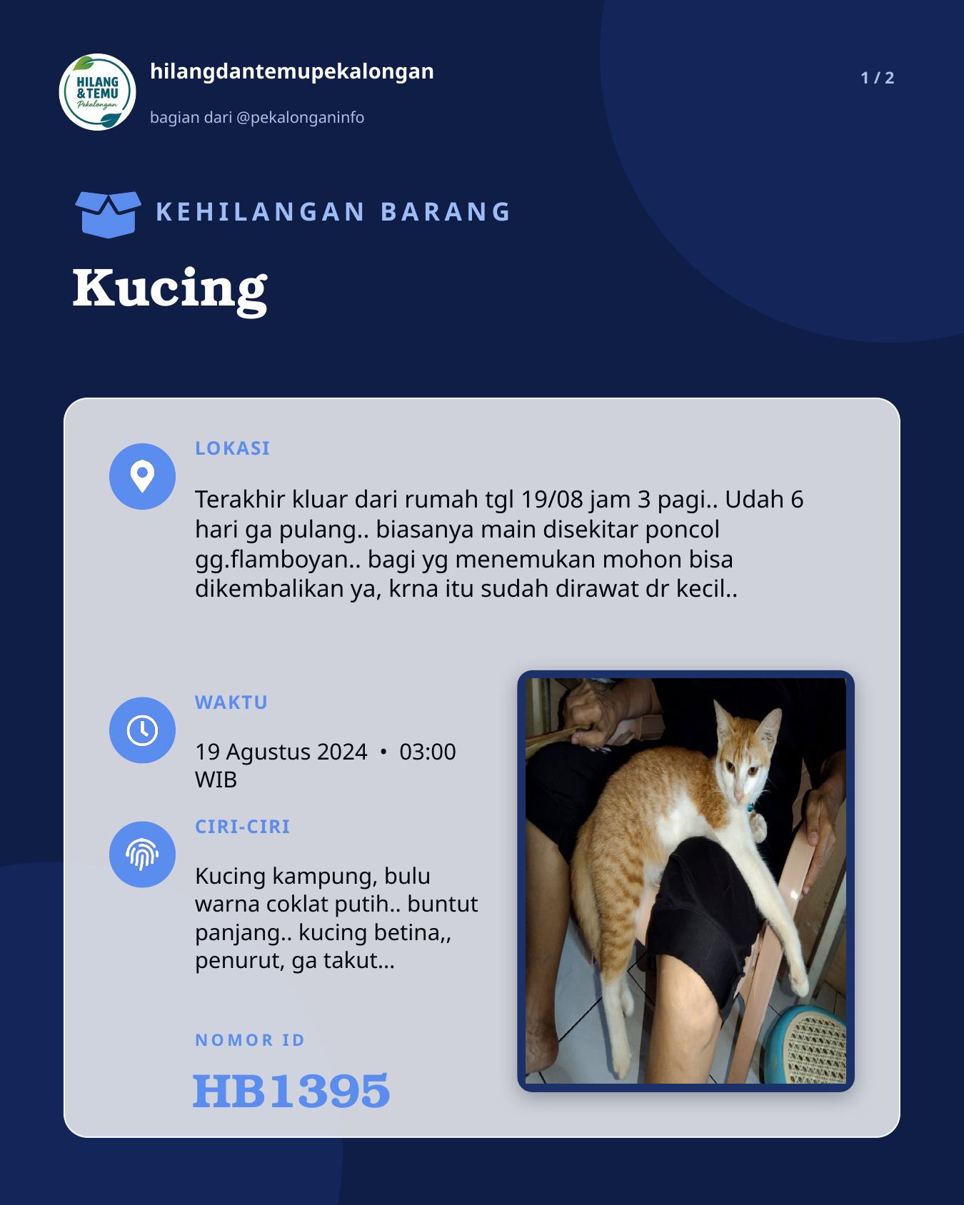 Slide 1 laporan Kucing