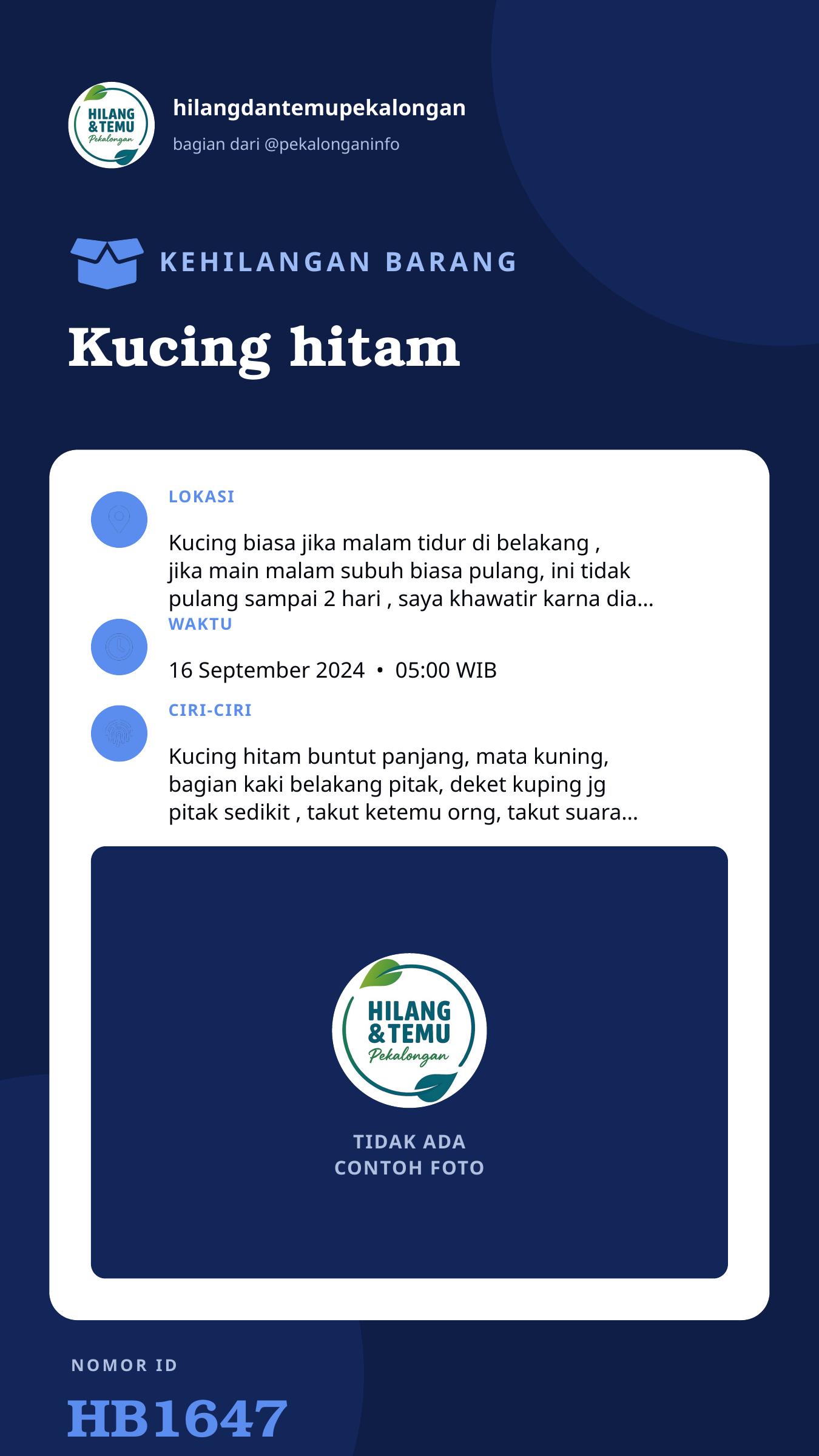 Story 9:16 laporan Kucing hitam