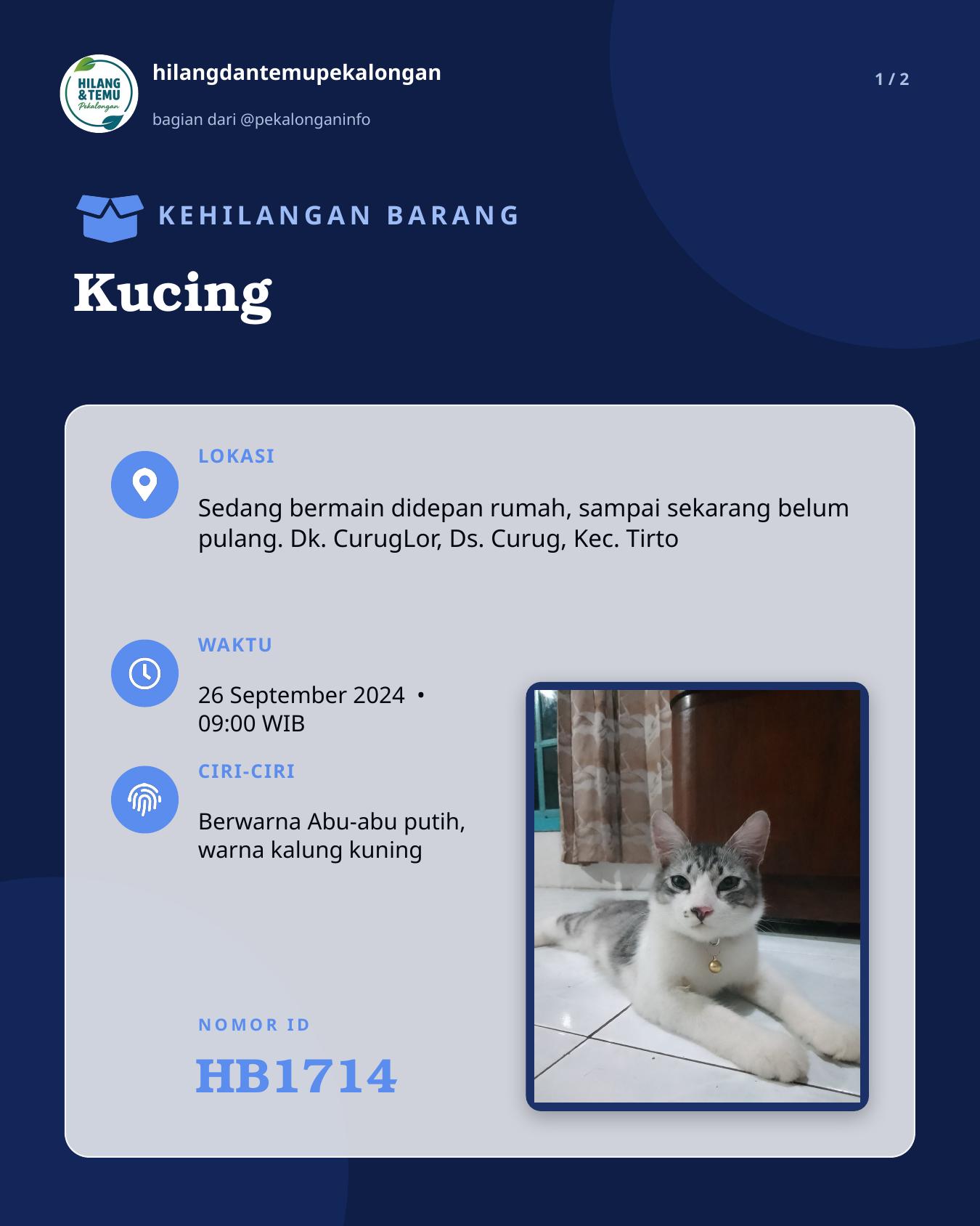 Slide 1 laporan Kucing
