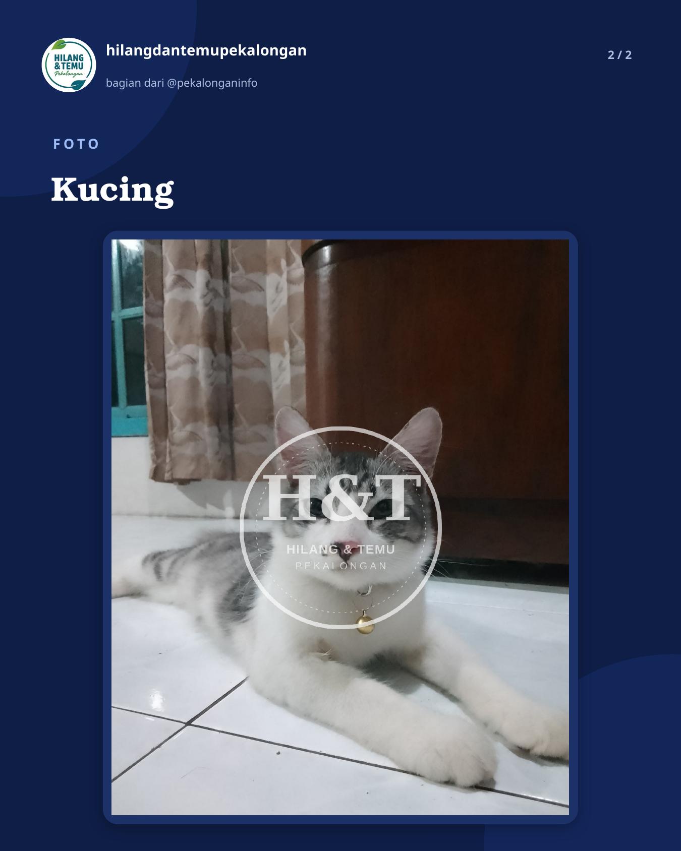 Slide 2 laporan Kucing