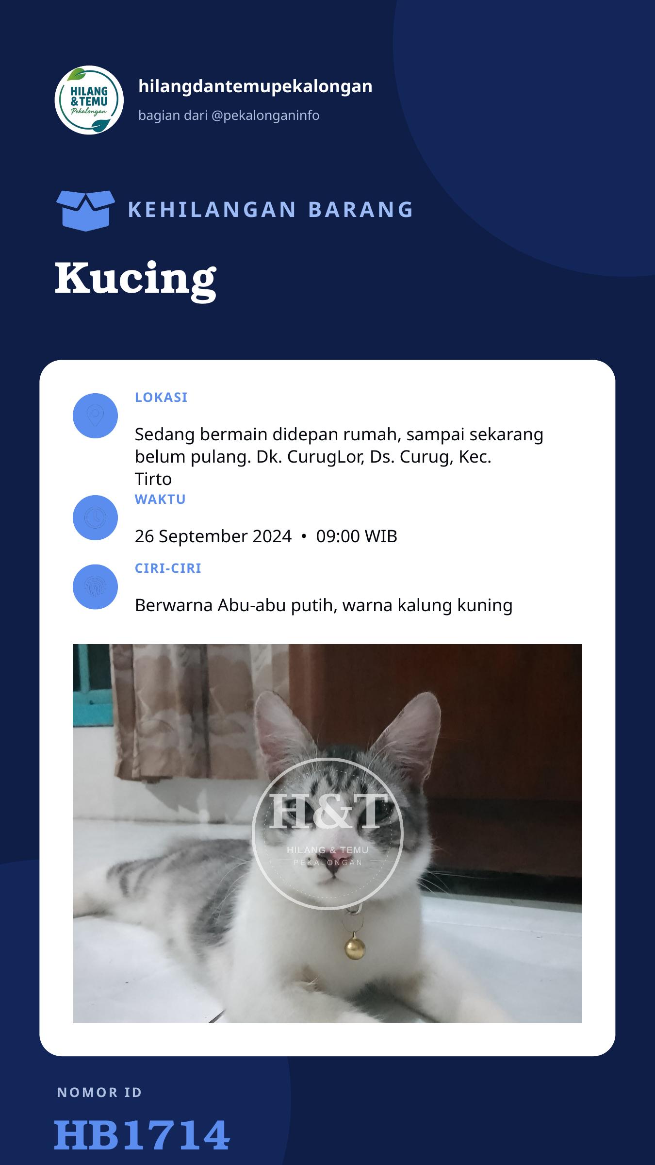 Story 9:16 laporan Kucing