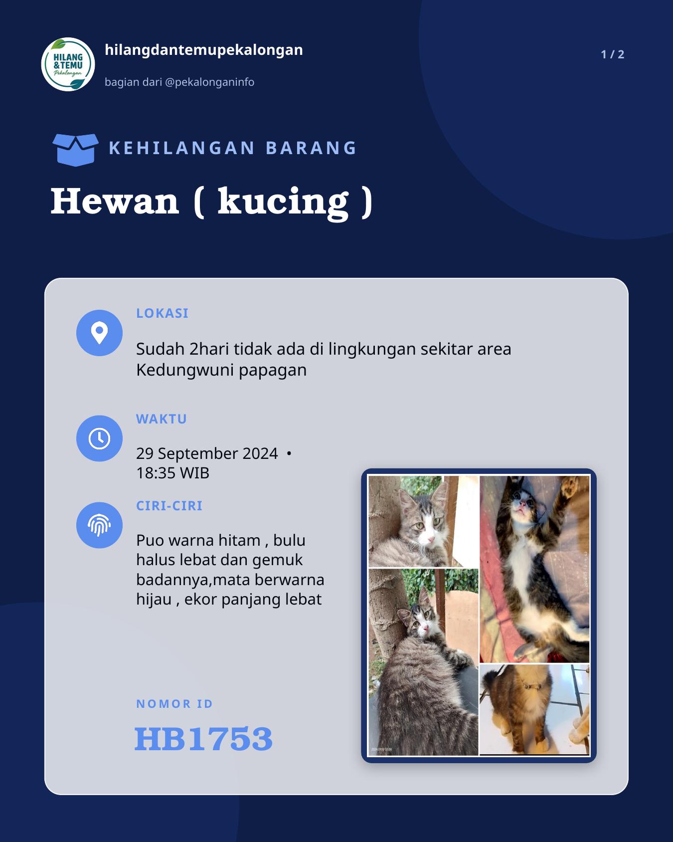 Slide 1 laporan Hewan ( kucing )