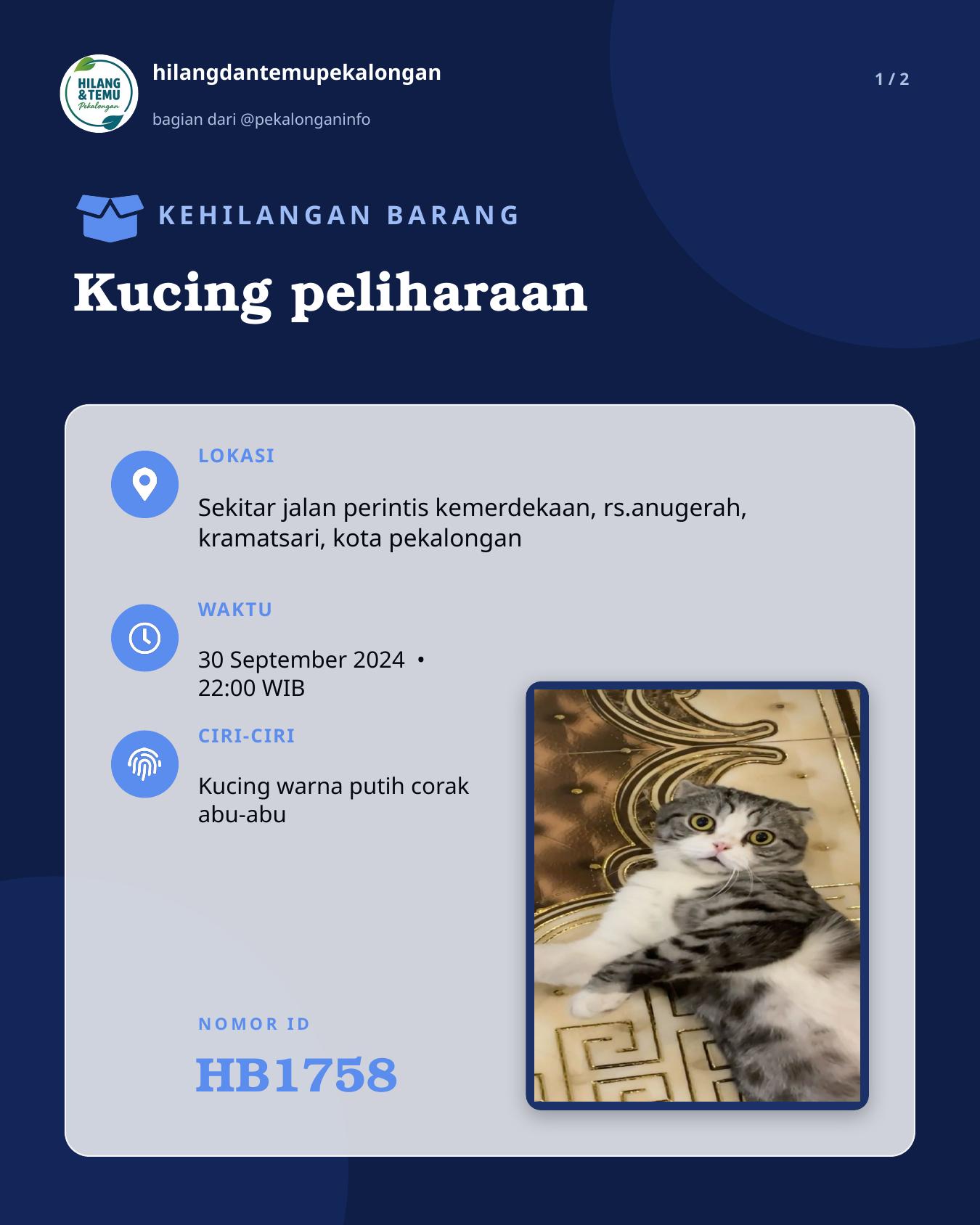 Slide 1 laporan Kucing peliharaan
