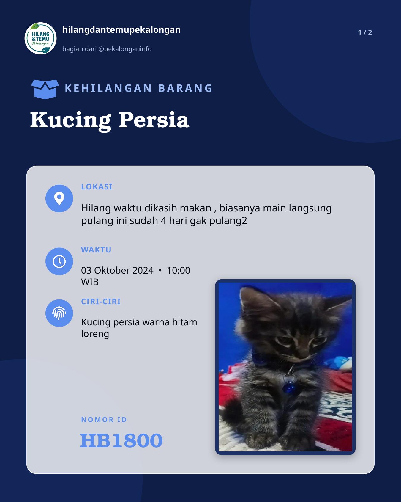 Slide 1 laporan Kucing Persia