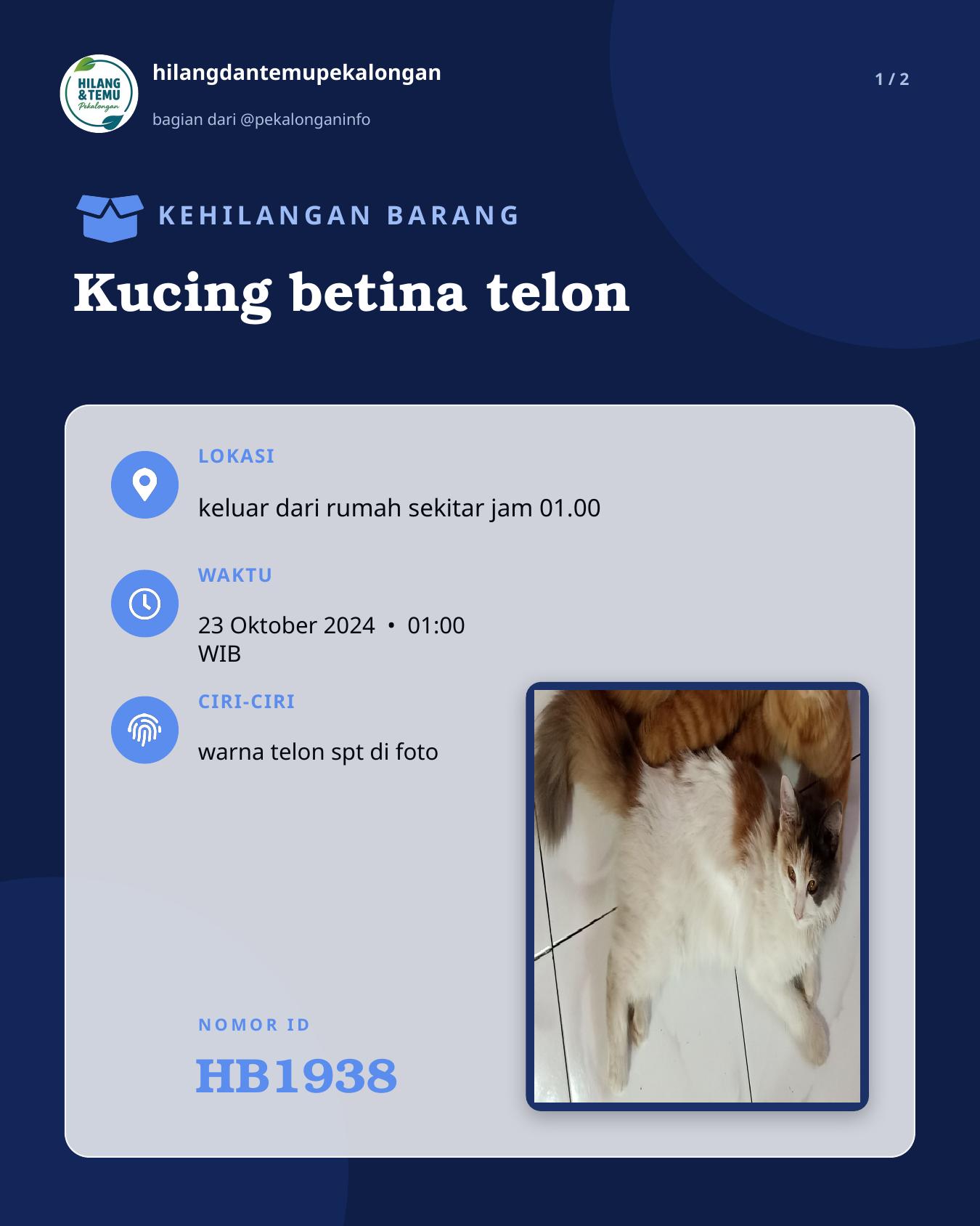 Slide 1 laporan Kucing betina telon