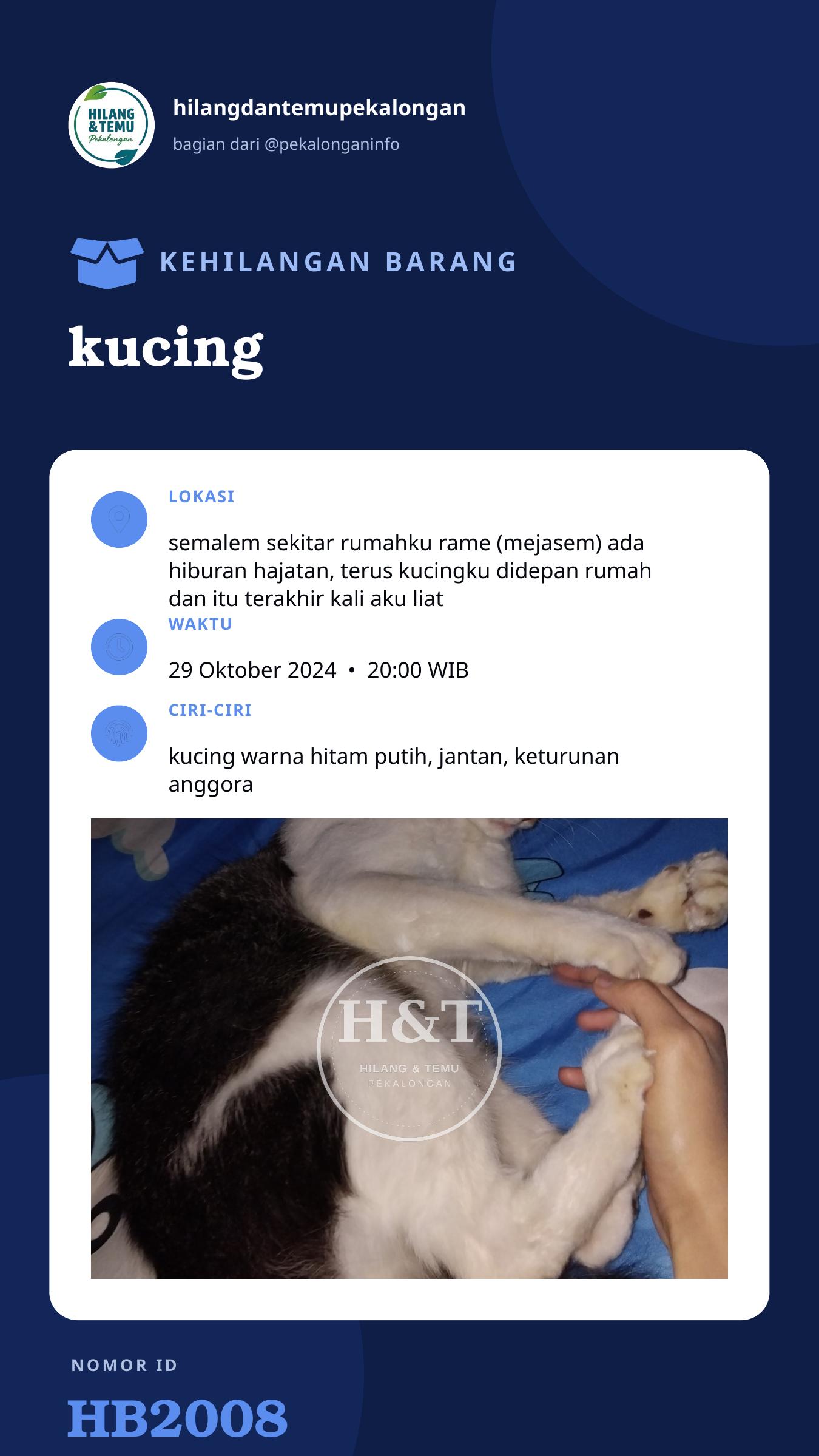 Story 9:16 laporan kucing