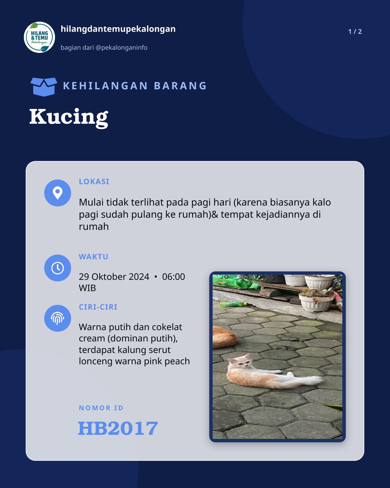 Slide 1 laporan Kucing