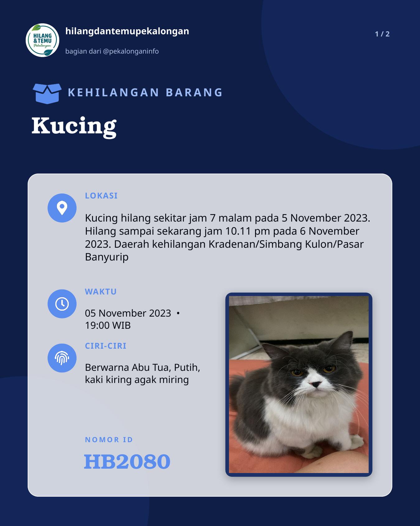 Slide 1 laporan Kucing
