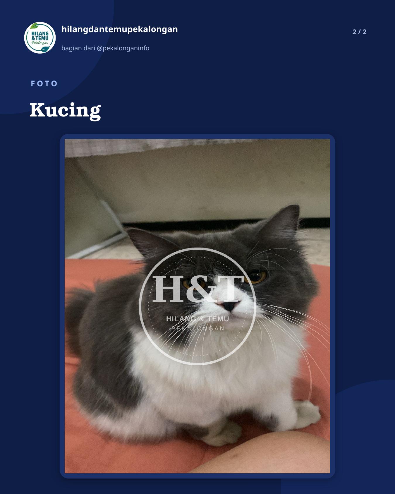 Slide 2 laporan Kucing