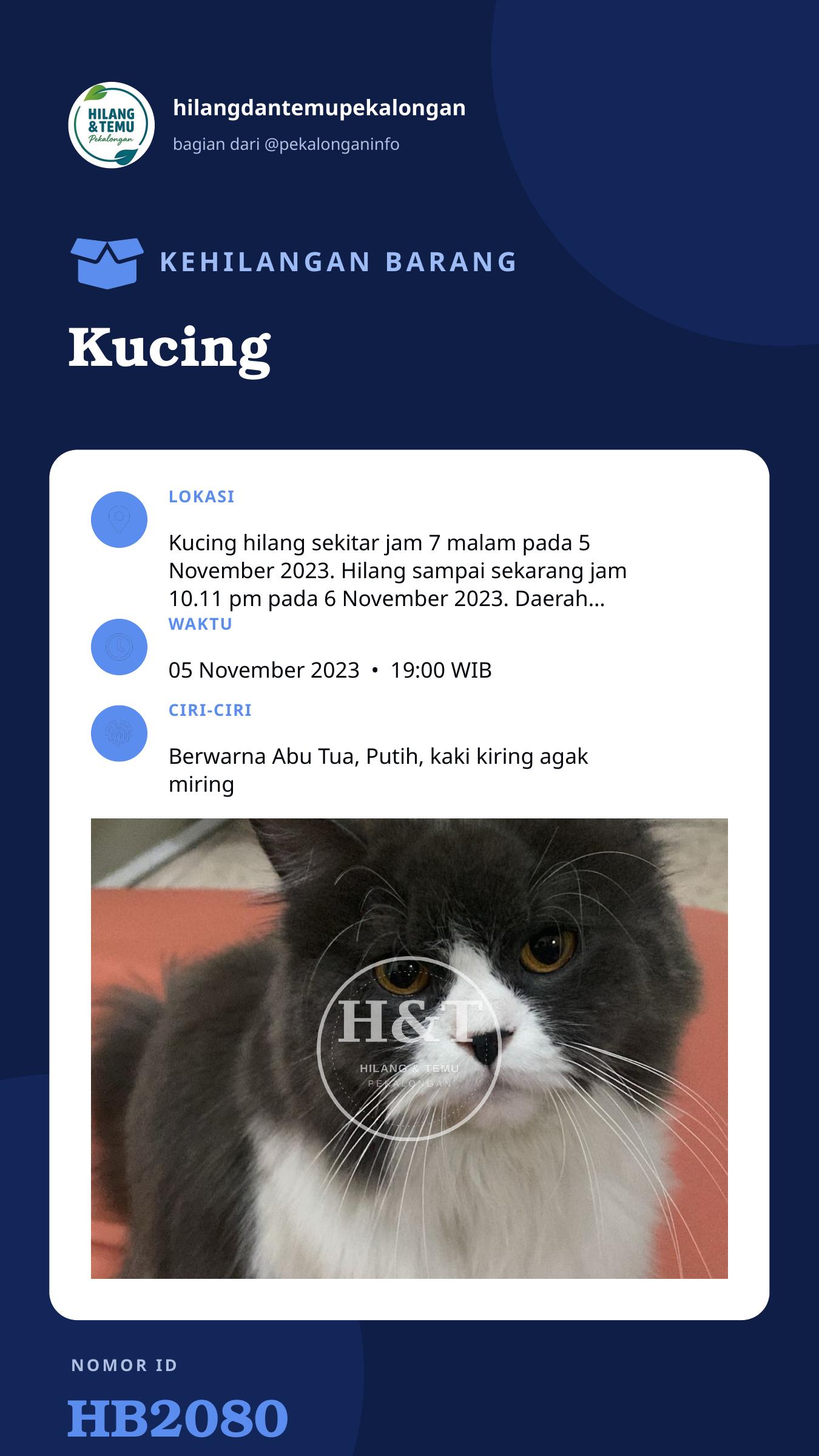 Story 9:16 laporan Kucing