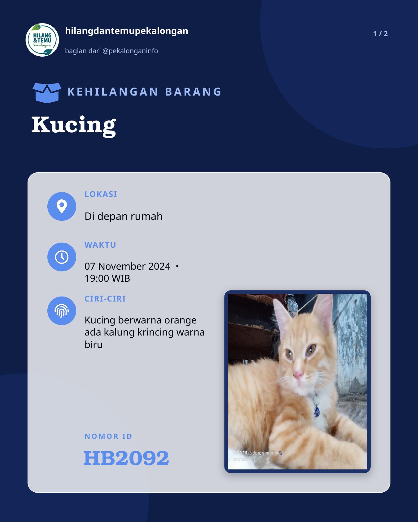 Slide 1 laporan Kucing