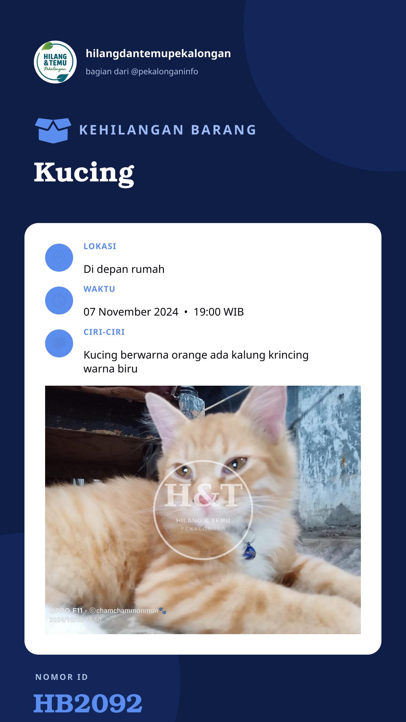 Story 9:16 laporan Kucing