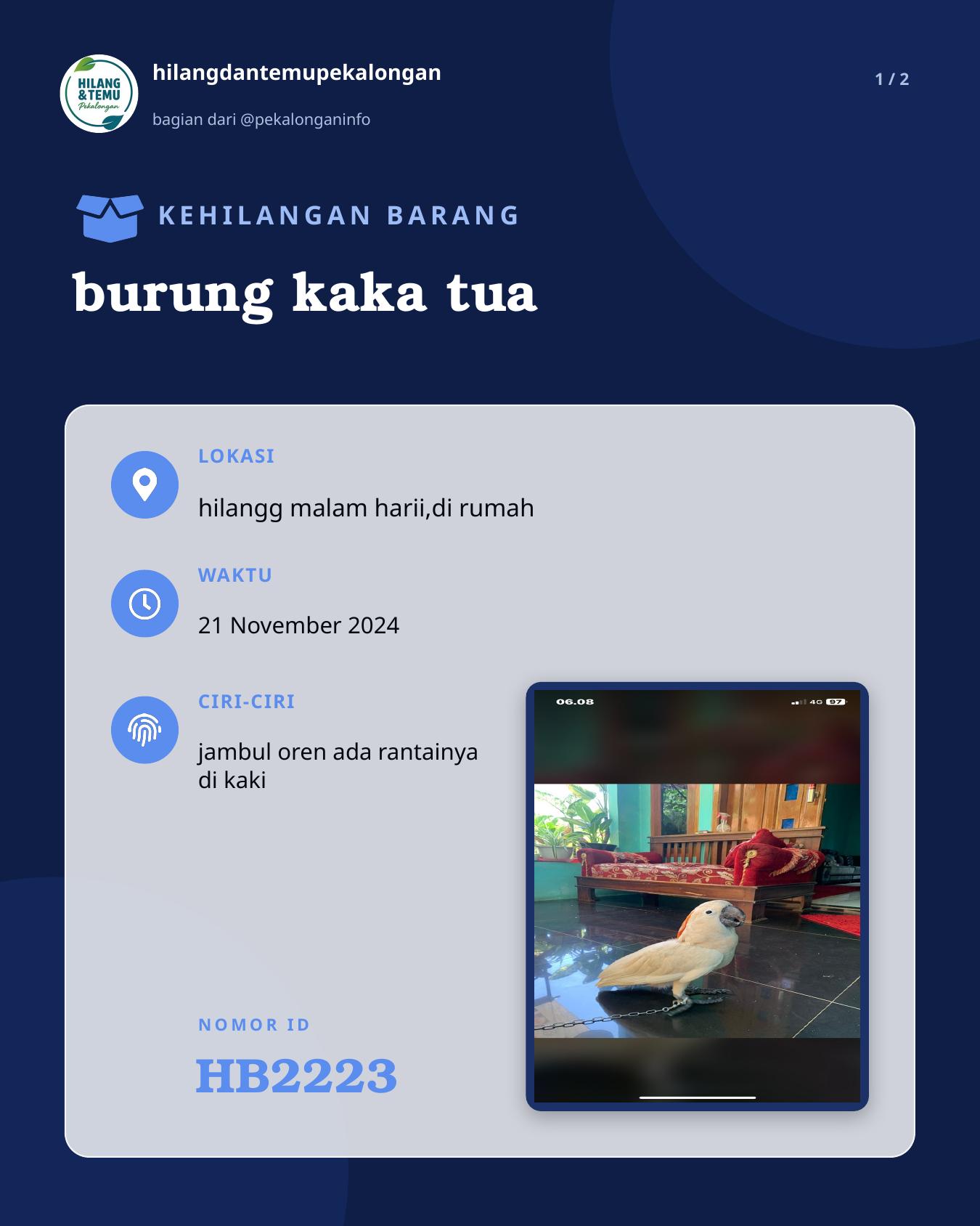 Slide 1 laporan burung kaka tua