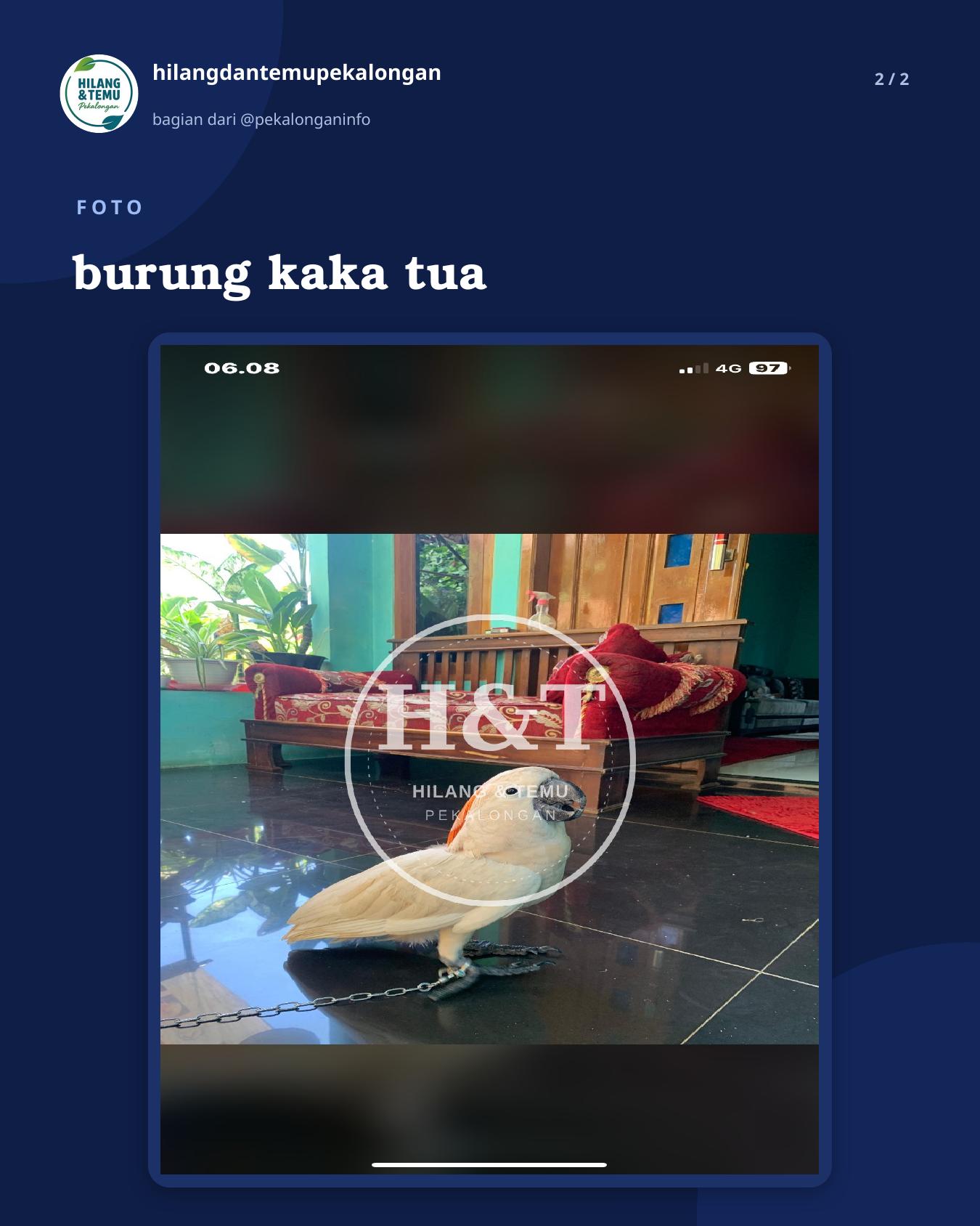 Slide 2 laporan burung kaka tua