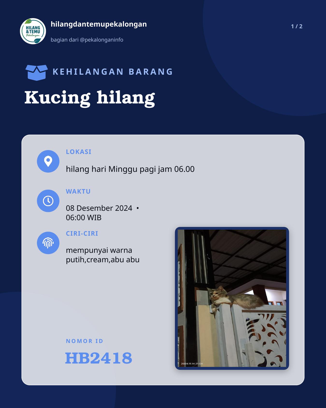 Slide 1 laporan Kucing hilang