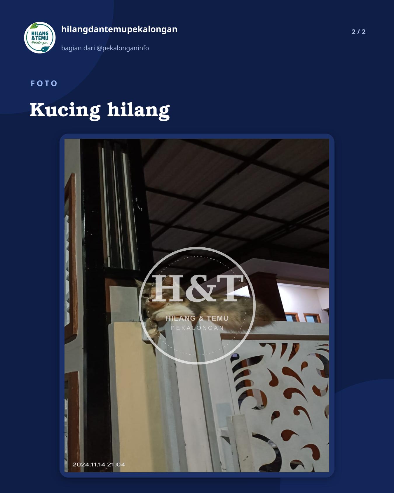 Slide 2 laporan Kucing hilang