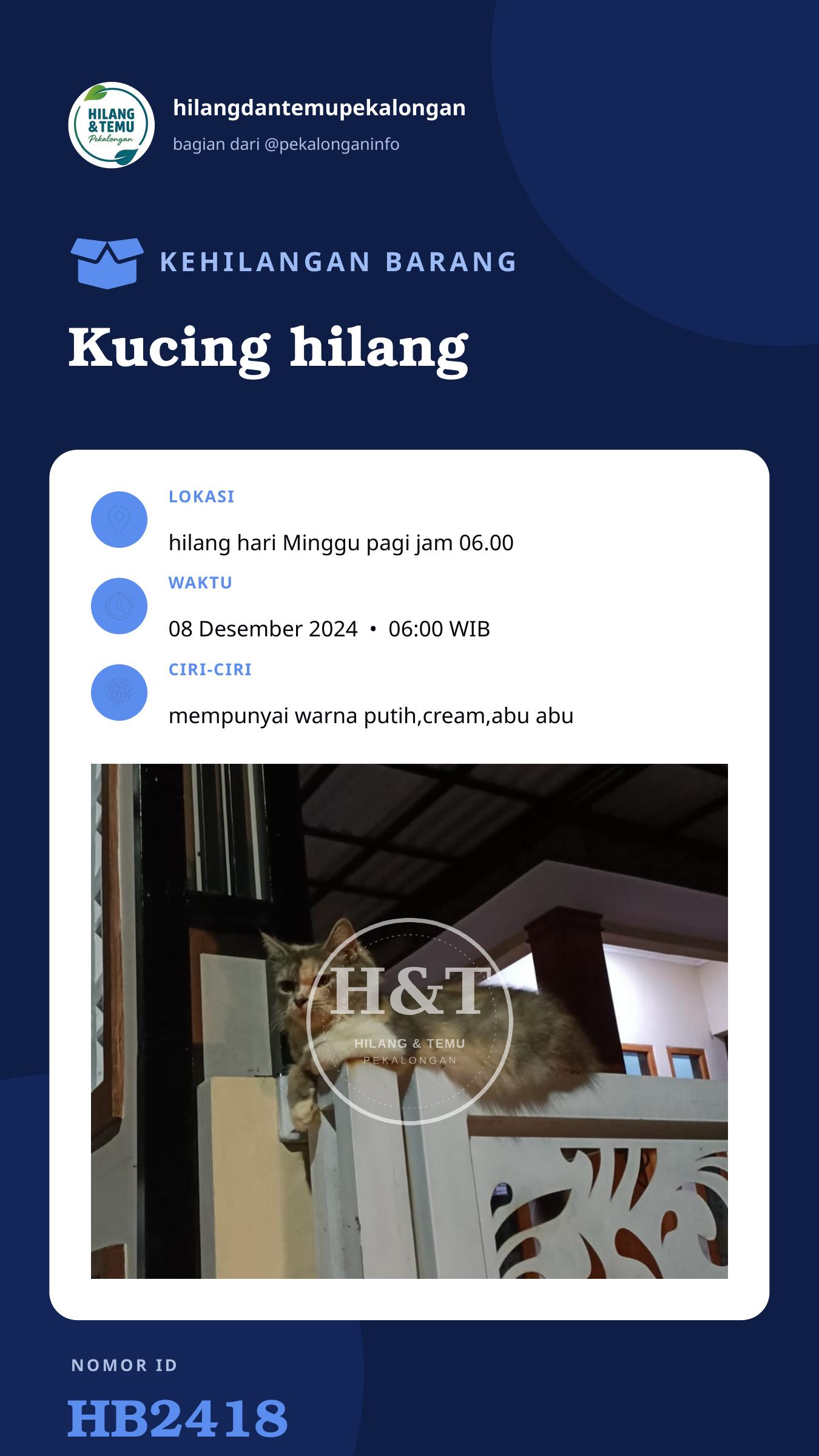 Story 9:16 laporan Kucing hilang