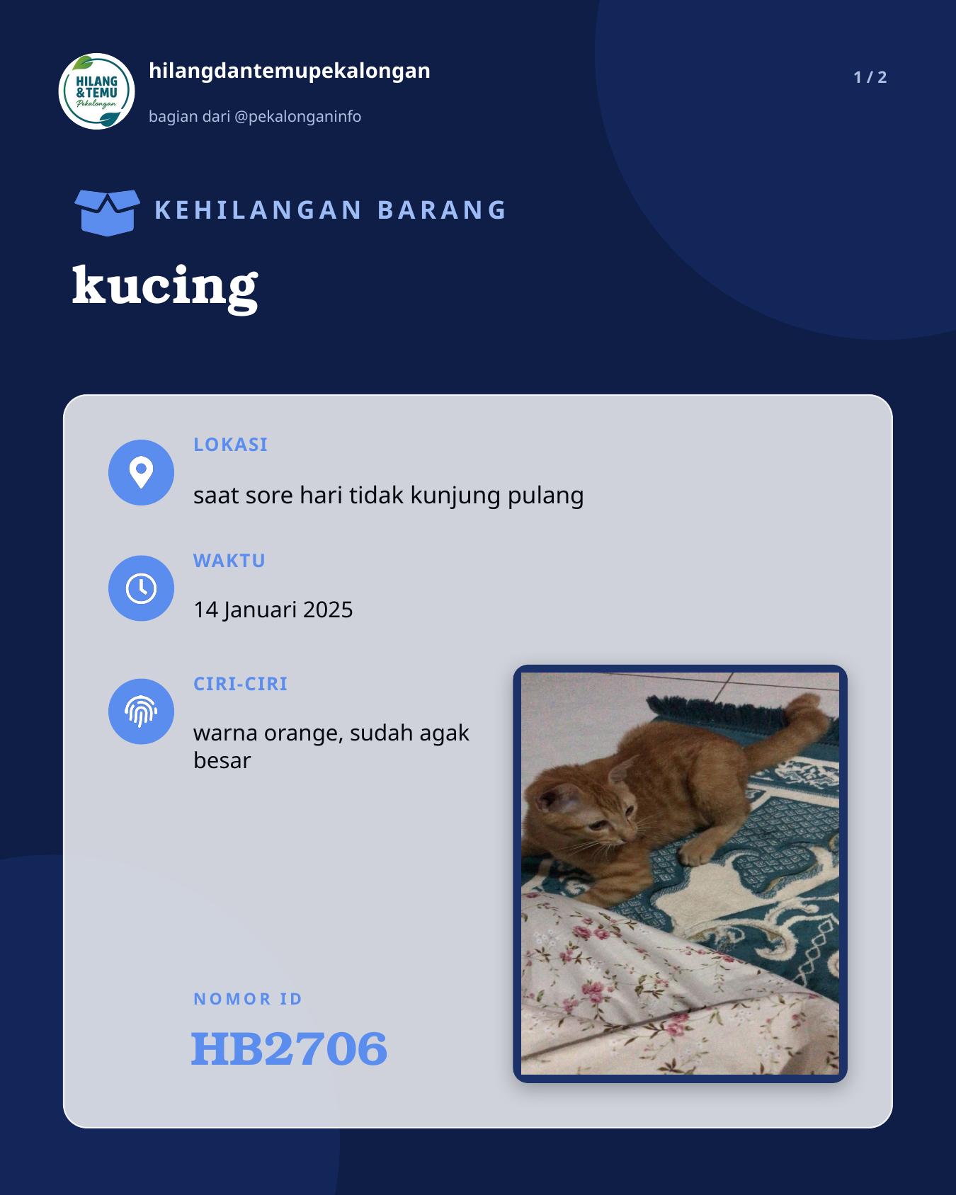 Slide 1 laporan kucing