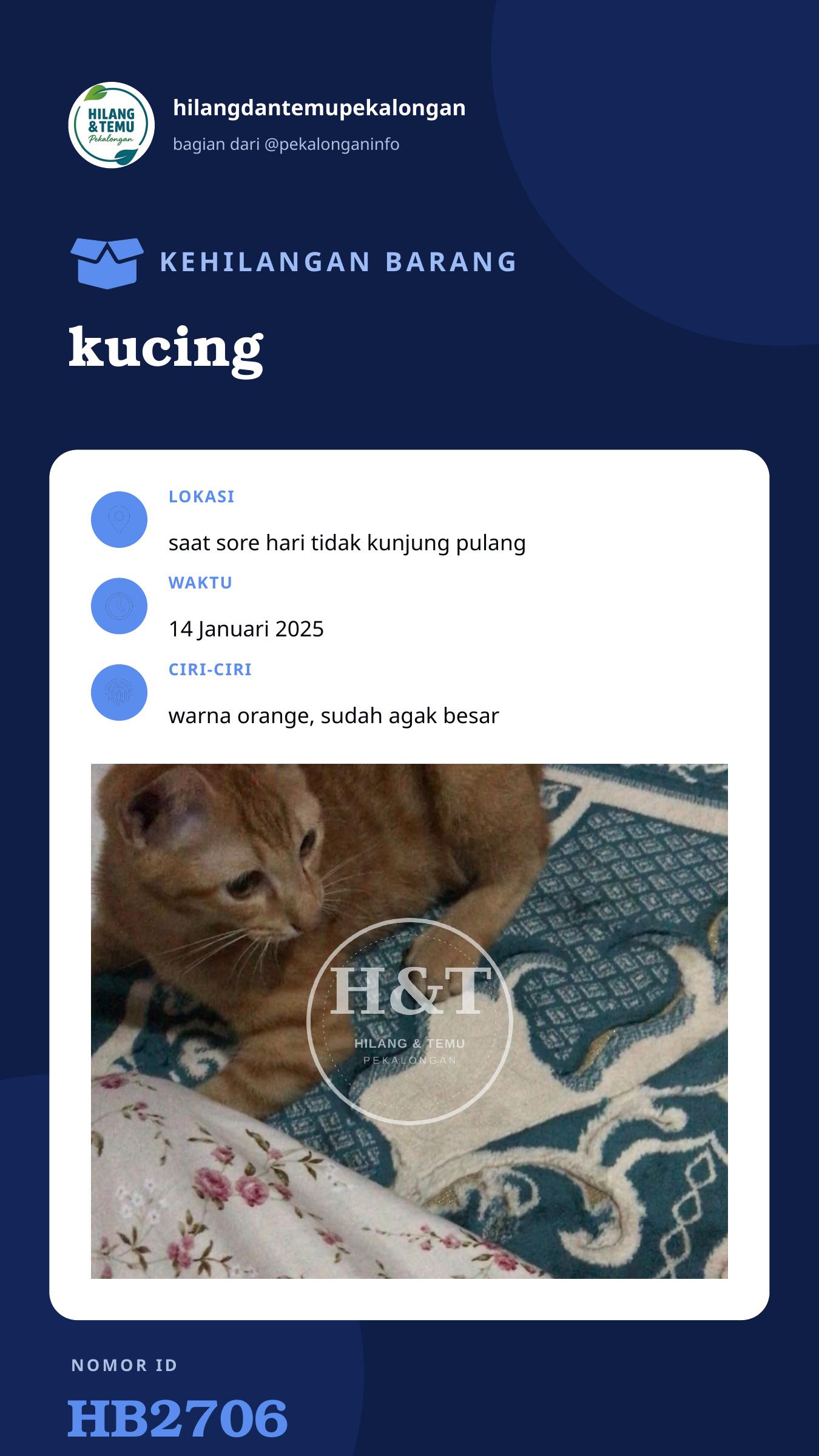 Story 9:16 laporan kucing