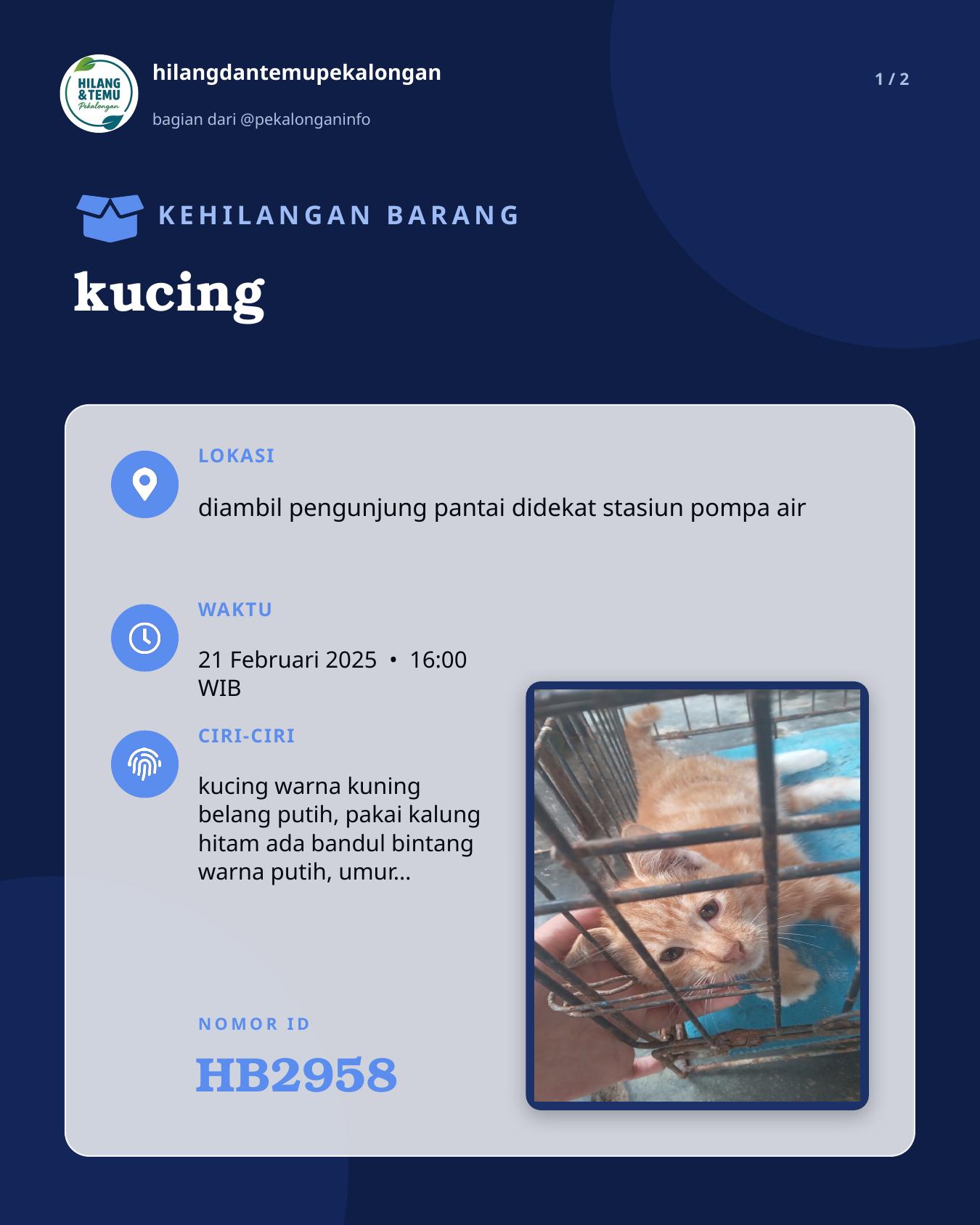 Slide 1 laporan kucing