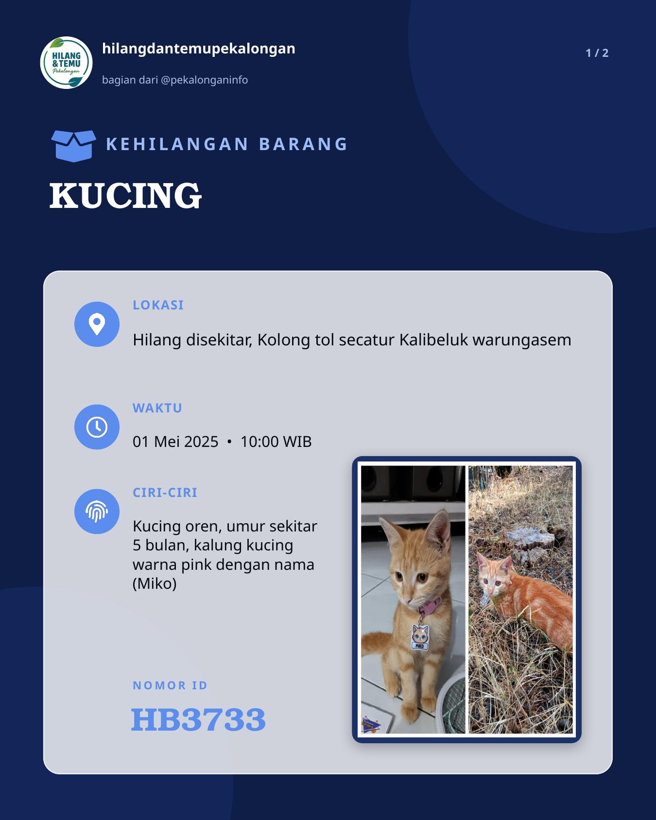 Slide 1 laporan KUCING