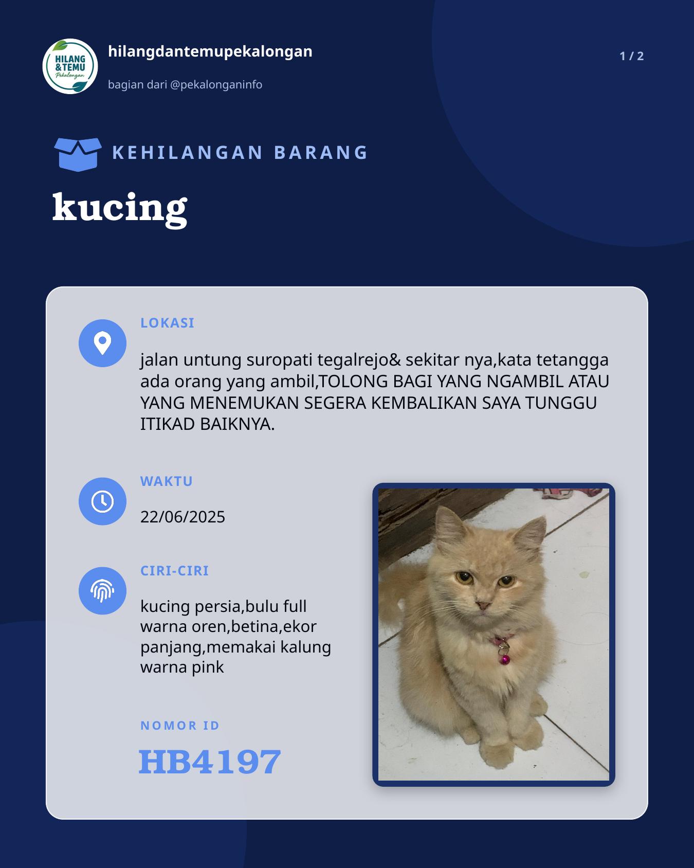 Slide 1 laporan kucing