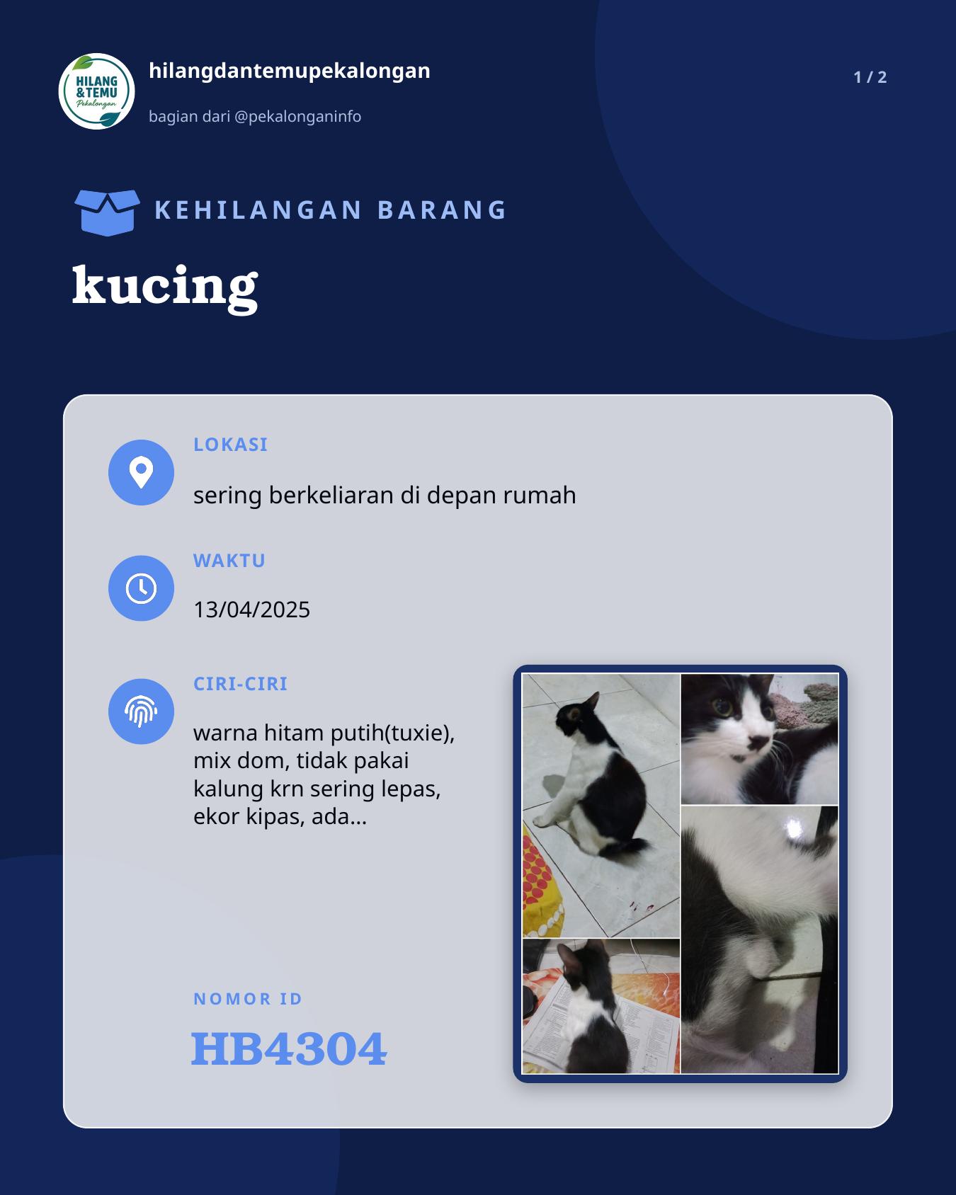 Slide 1 laporan kucing