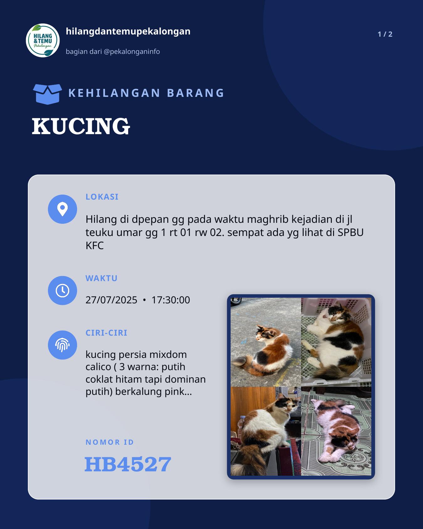 Slide 1 laporan KUCING