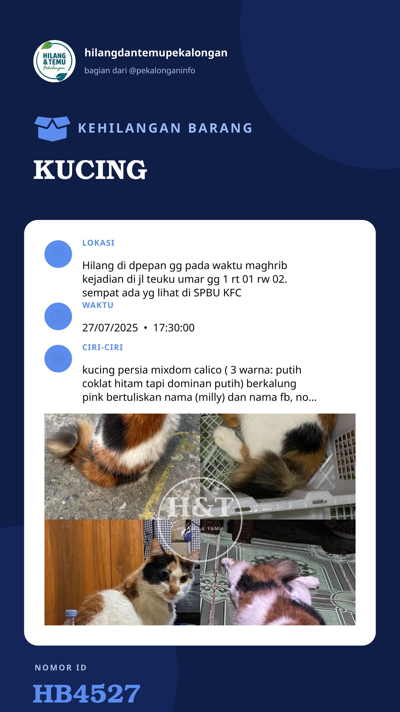 Story 9:16 laporan KUCING