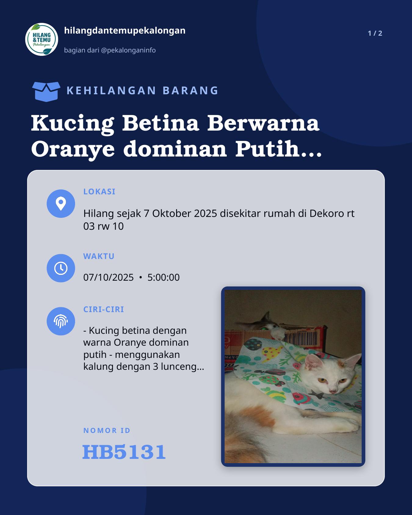 Slide 1 laporan Kucing Betina Berwarna Oranye dominan Putih berusia ±7 bulan