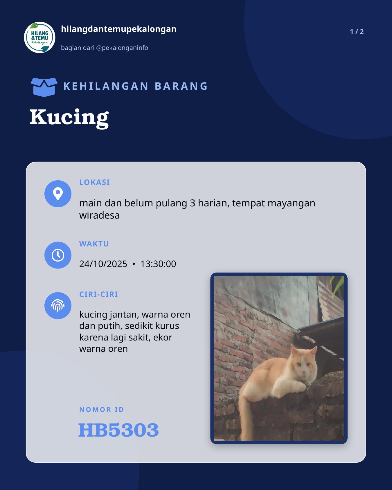 Slide 1 laporan Kucing