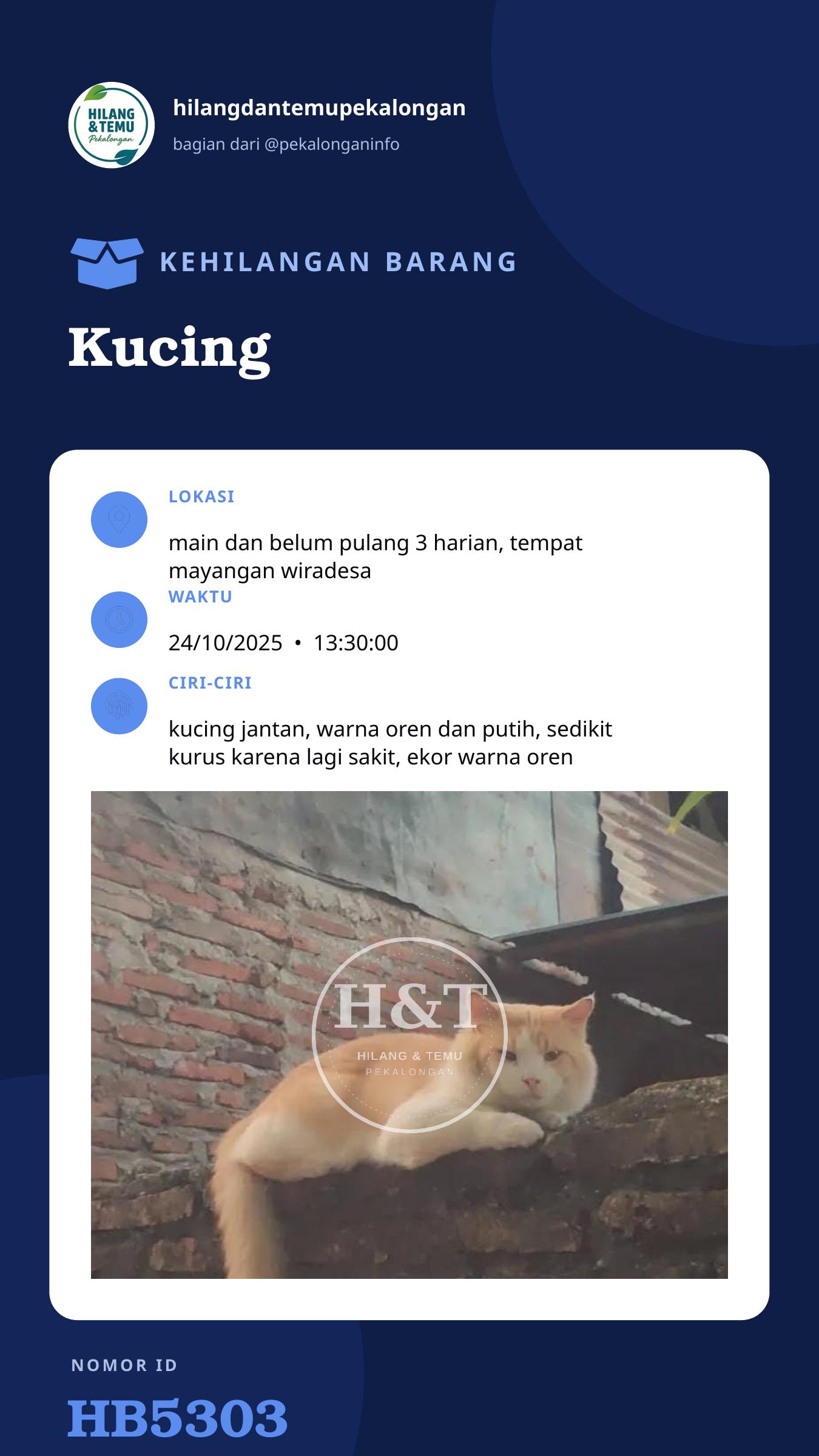 Story 9:16 laporan Kucing