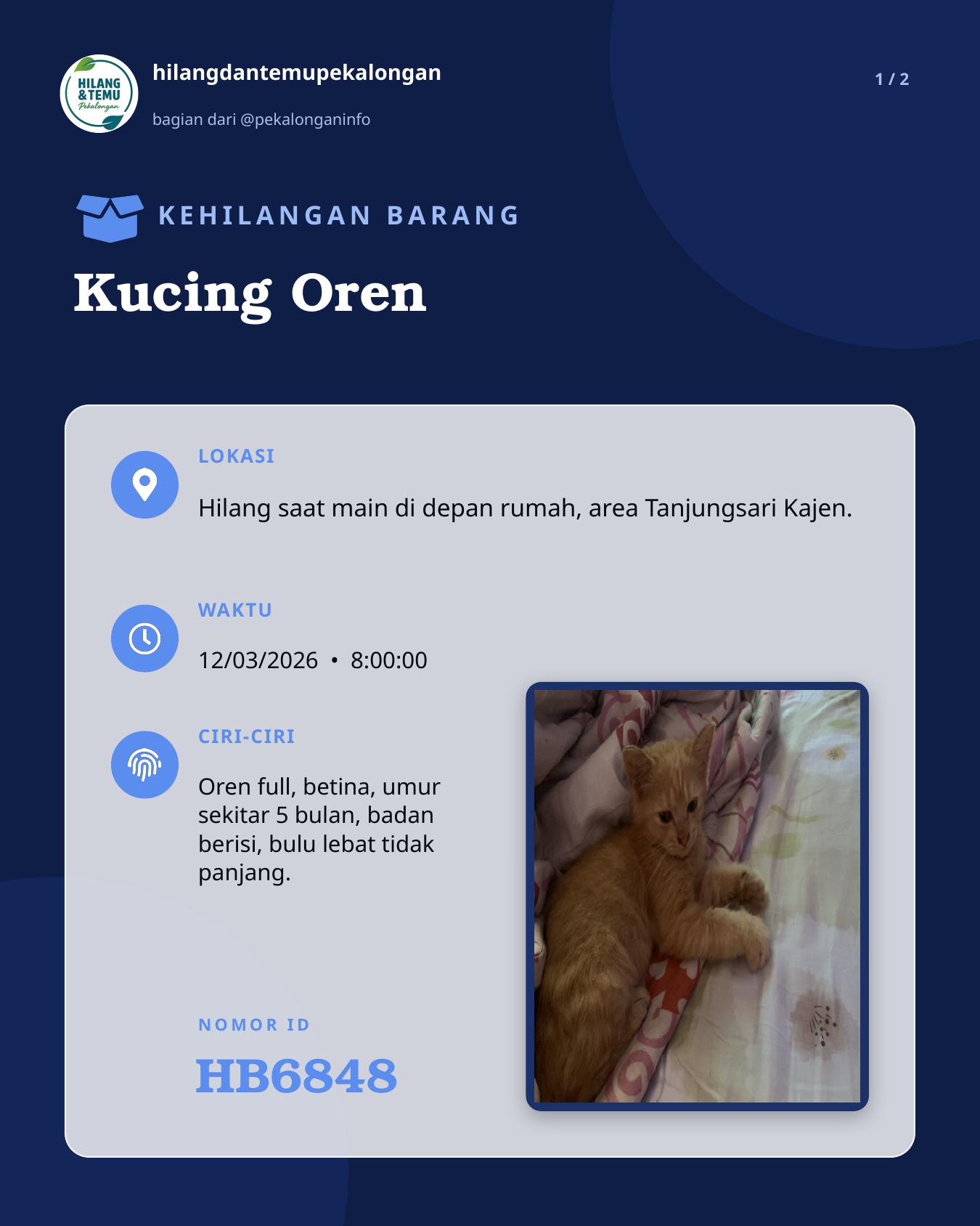 Slide 1 laporan Kucing Oren