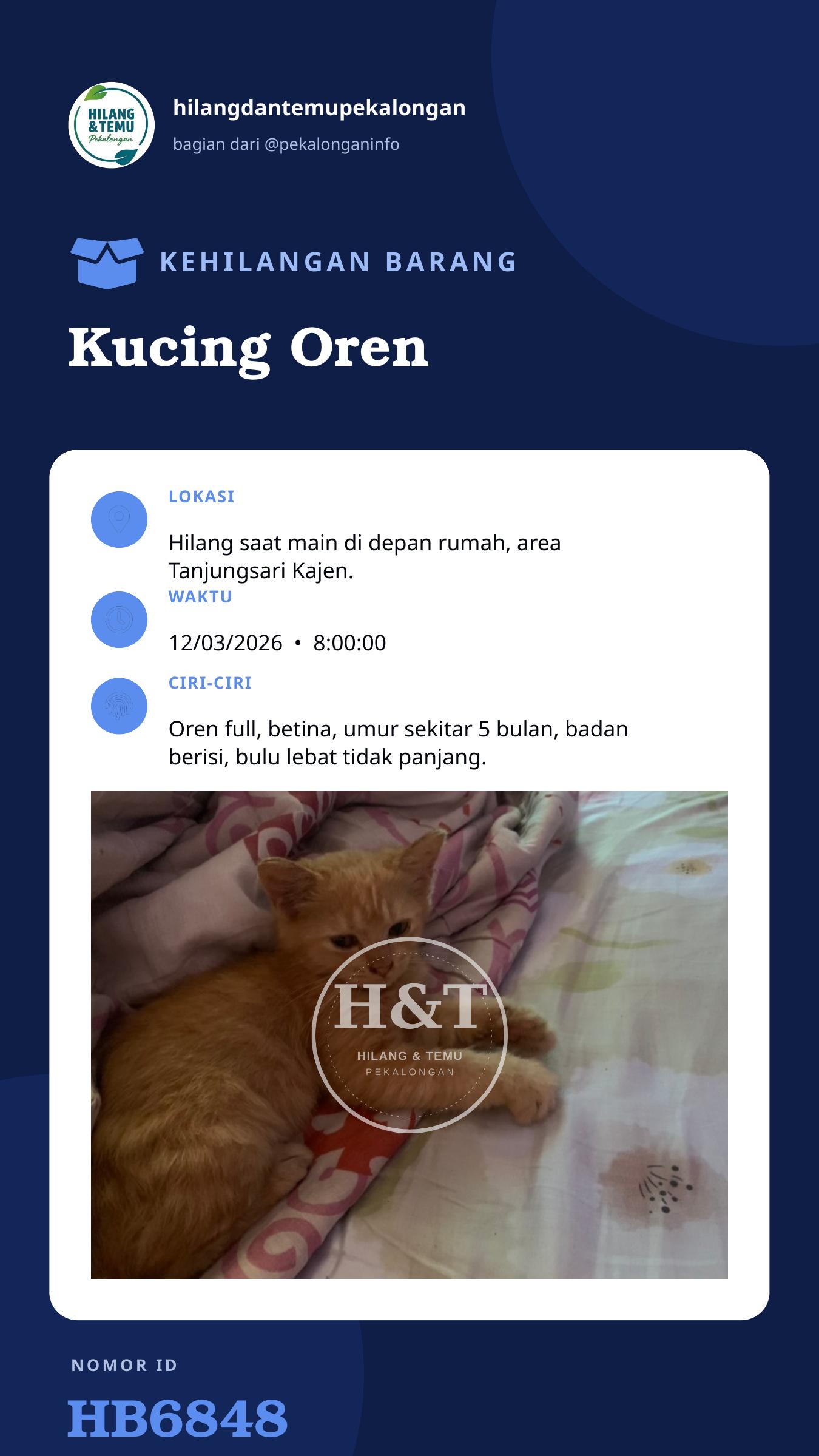 Story 9:16 laporan Kucing Oren