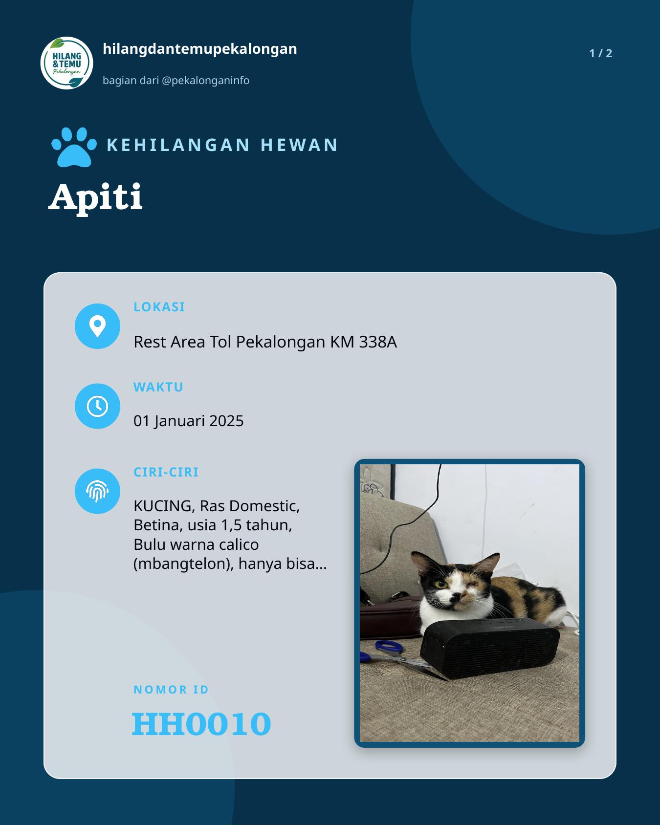 Slide 1 laporan Apiti