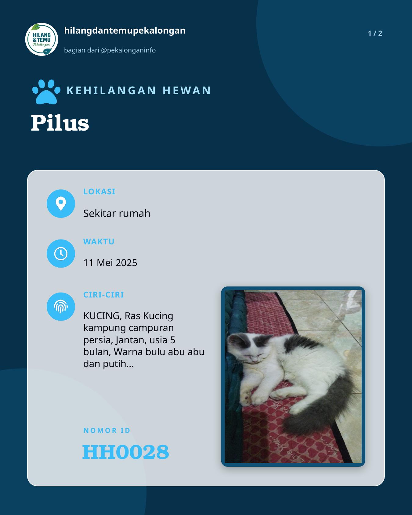 Slide 1 laporan Pilus
