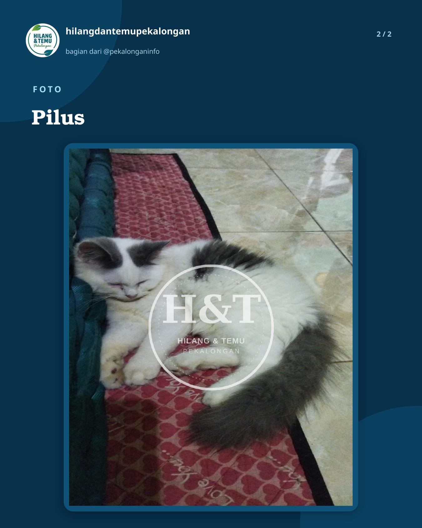 Slide 2 laporan Pilus