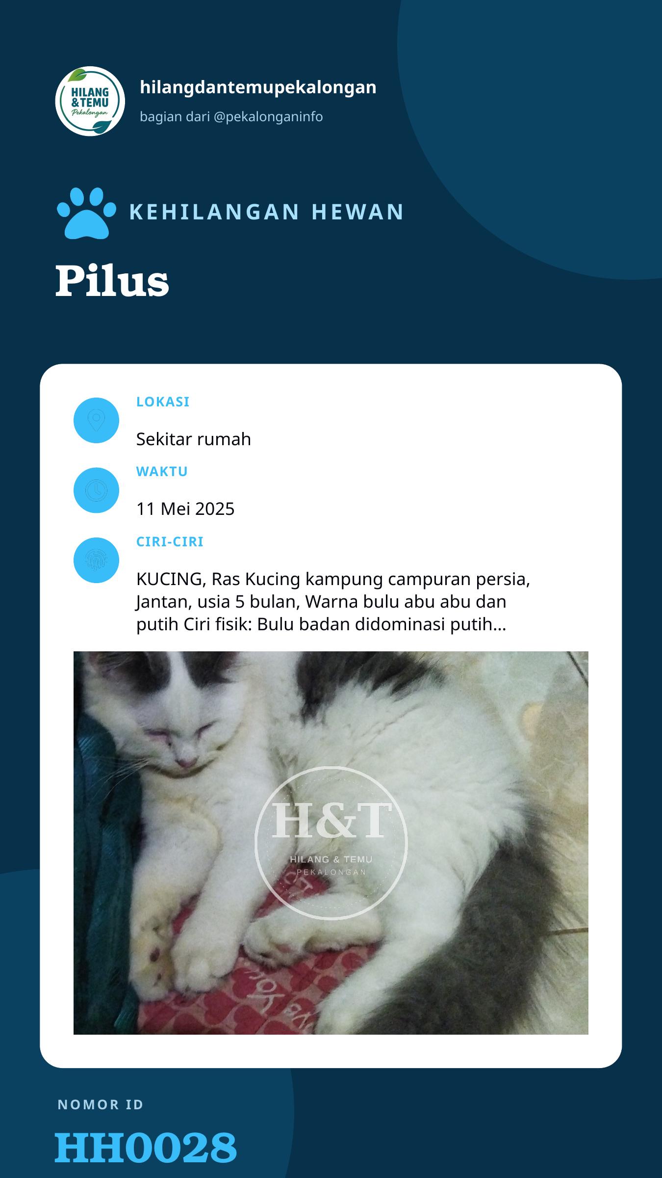 Story 9:16 laporan Pilus