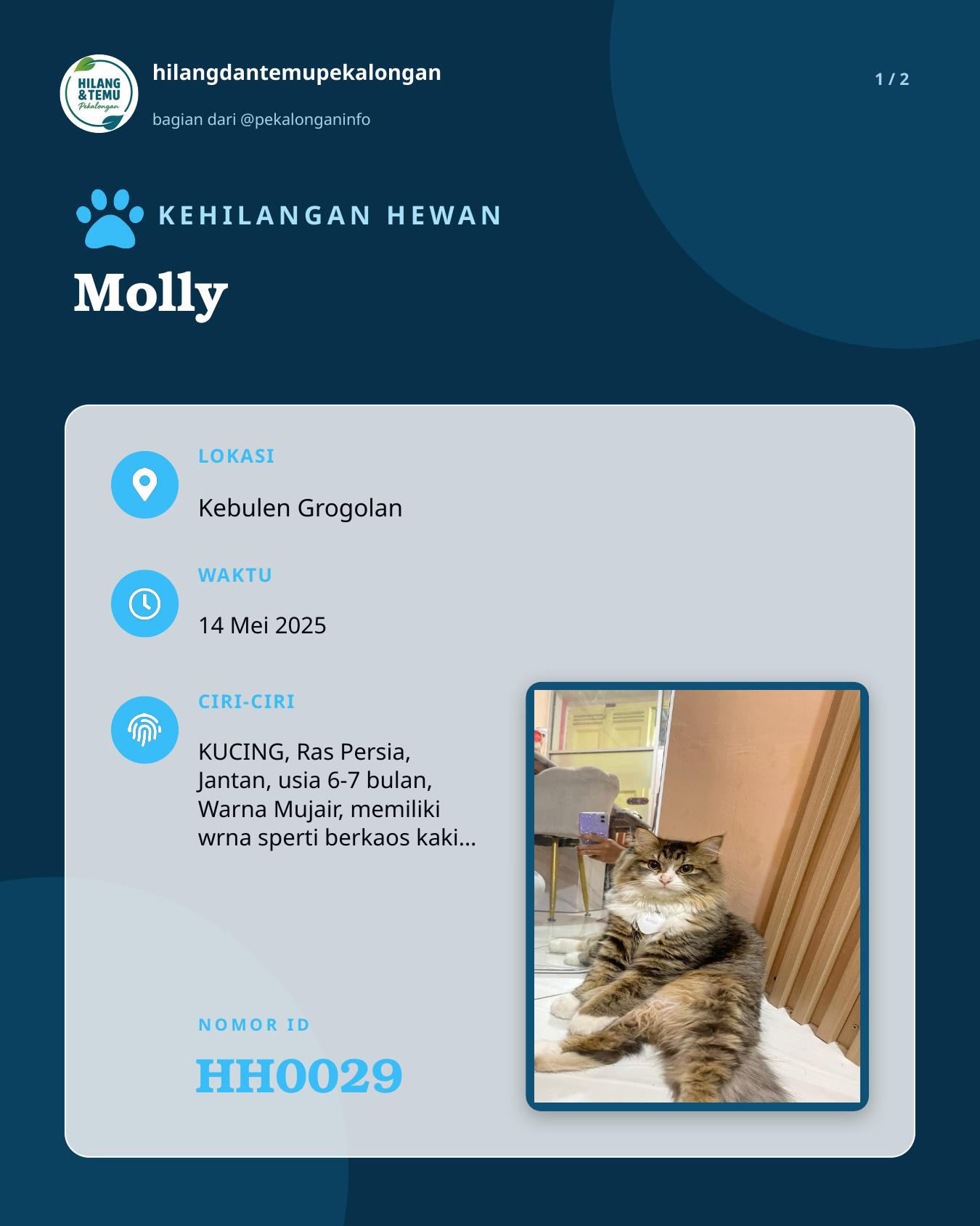 Slide 1 laporan Molly