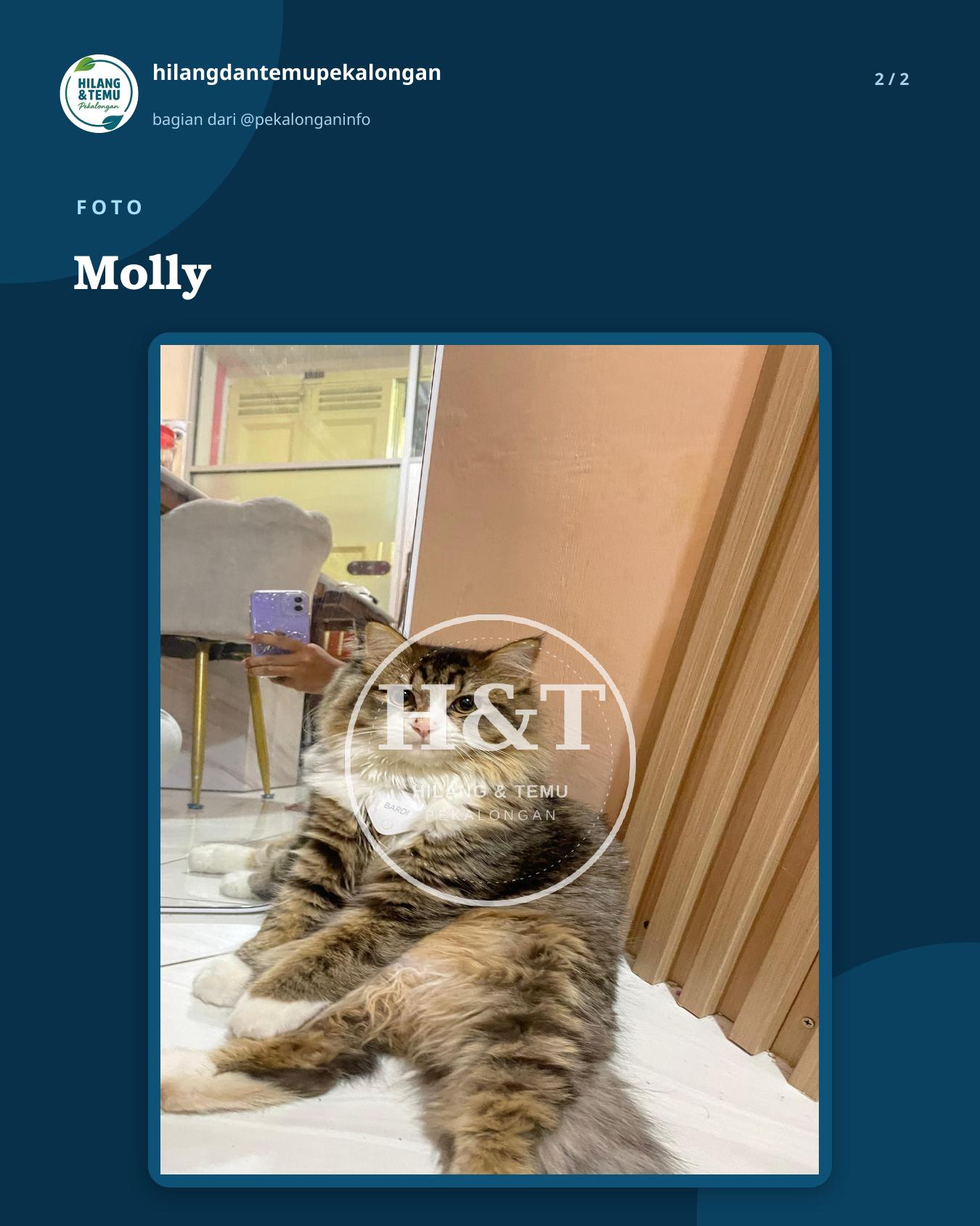 Slide 2 laporan Molly