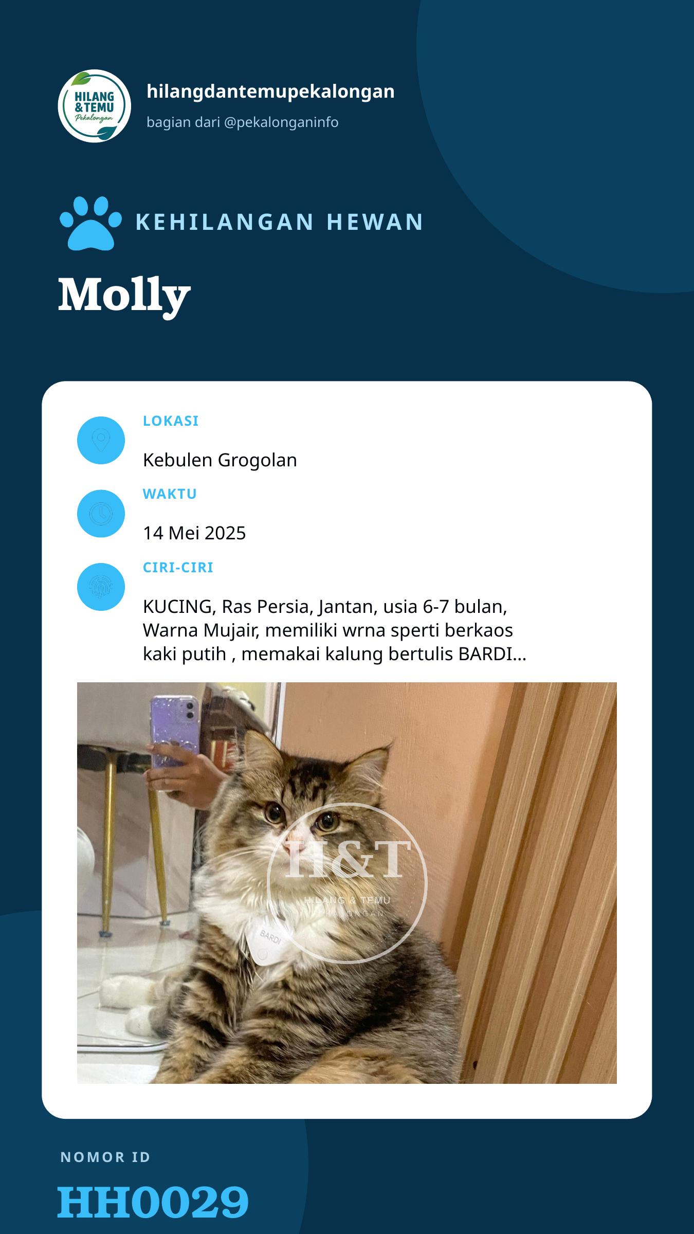 Story 9:16 laporan Molly